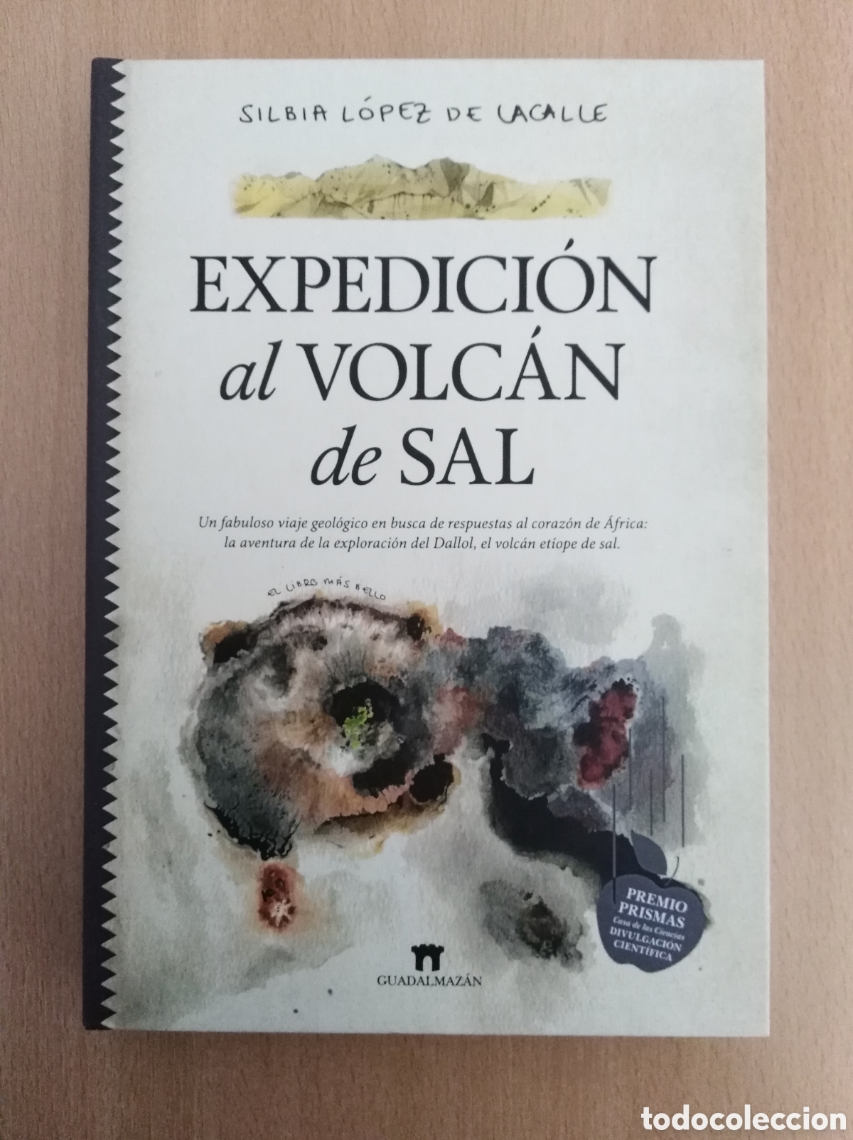Libri di seconda mano: EXPEDICI&Oacute;N AL VOLC&Aacute;N DE SAL. Silbia L&oacute;pez de Lacalle