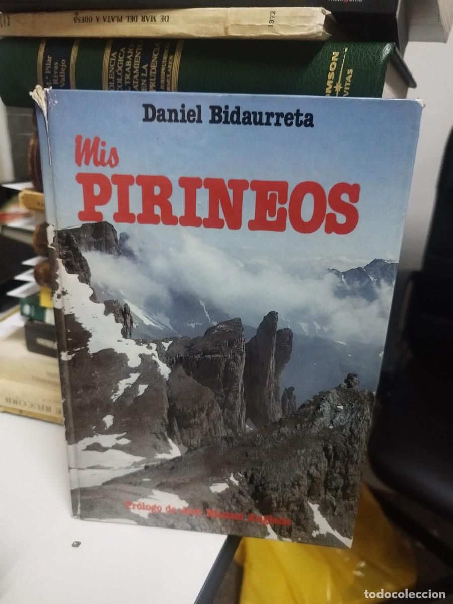 Libri di seconda mano: DANIEL BIDAURRETA: MIS PIRINEOS. PAMPLONAS, 1981. MONTA&Ntilde;ISMO. NAVARRA. PA&Iacute;S VASCO