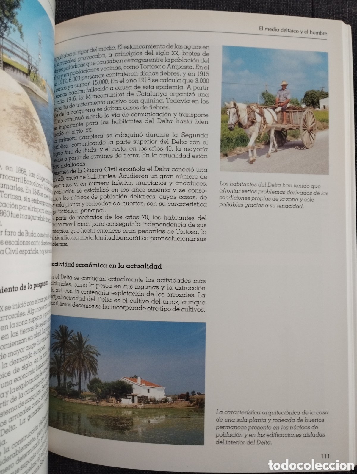 Libros de segunda mano: EL DELTA DEL EBRO Y SU PARQUE NATURAL (SENDAI EDICIONES) - Foto 7