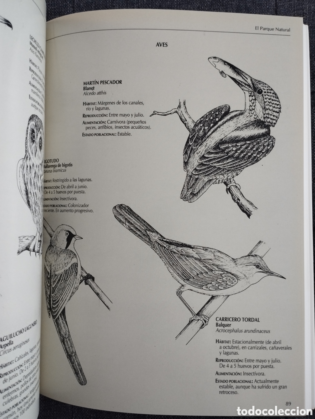 Libros de segunda mano: EL DELTA DEL EBRO Y SU PARQUE NATURAL (SENDAI EDICIONES) - Foto 9