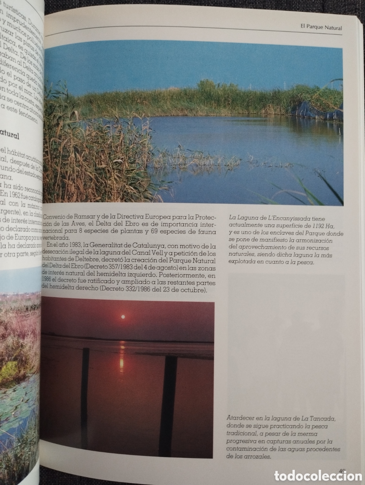Libros de segunda mano: EL DELTA DEL EBRO Y SU PARQUE NATURAL (SENDAI EDICIONES) - Foto 13
