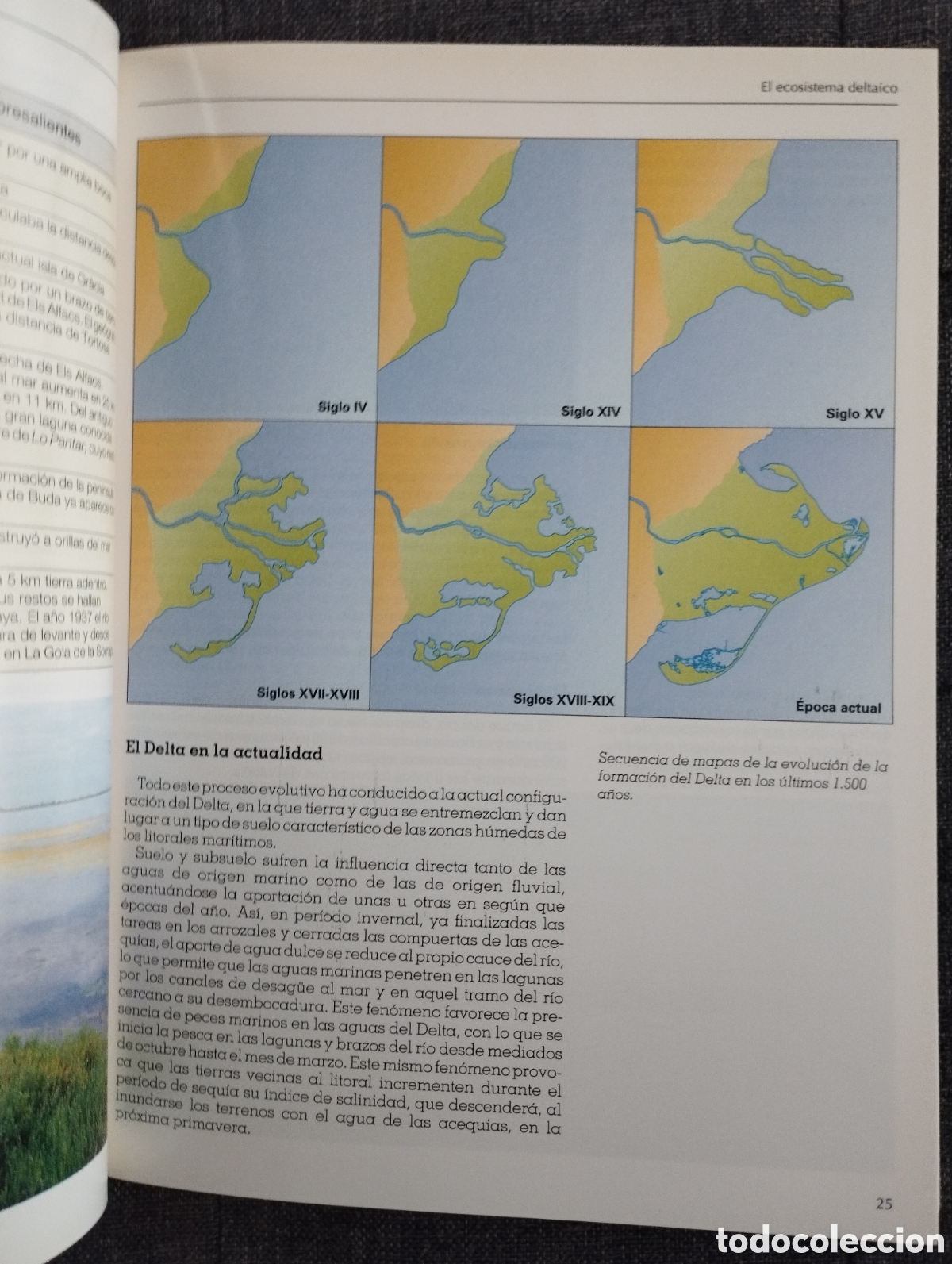 Libros de segunda mano: EL DELTA DEL EBRO Y SU PARQUE NATURAL (SENDAI EDICIONES) - Foto 17