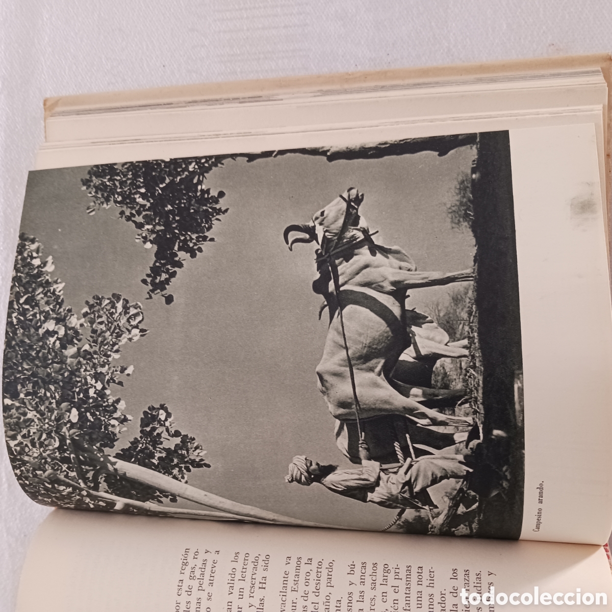 Libros de segunda mano: Fantas&iacute;a India de Andro Xavier - Foto 13