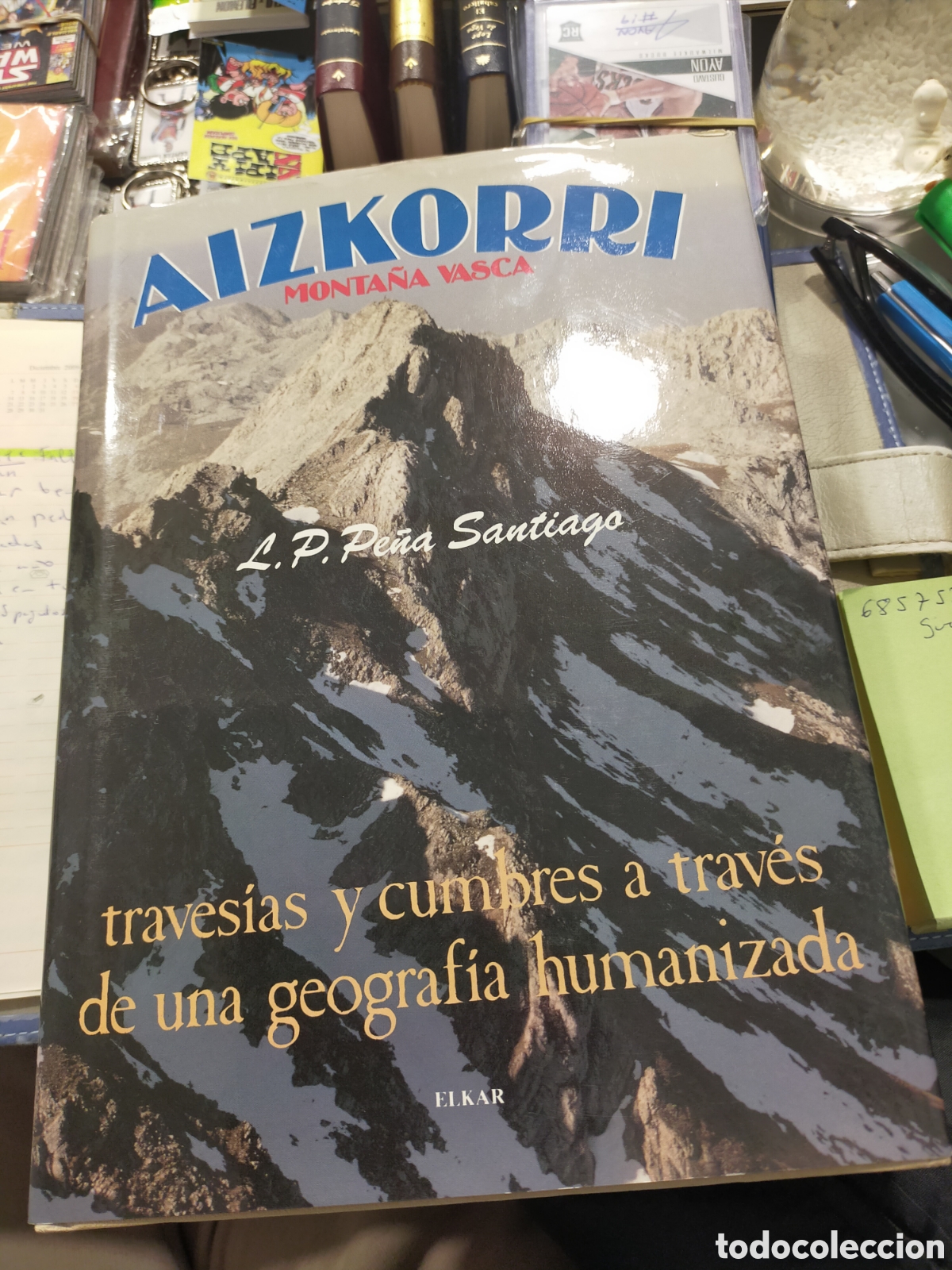 Libri di seconda mano: AIZKORRI MONTA&Ntilde;A VASCA L.P.PE&Ntilde;A SANTIAGO ELKAR