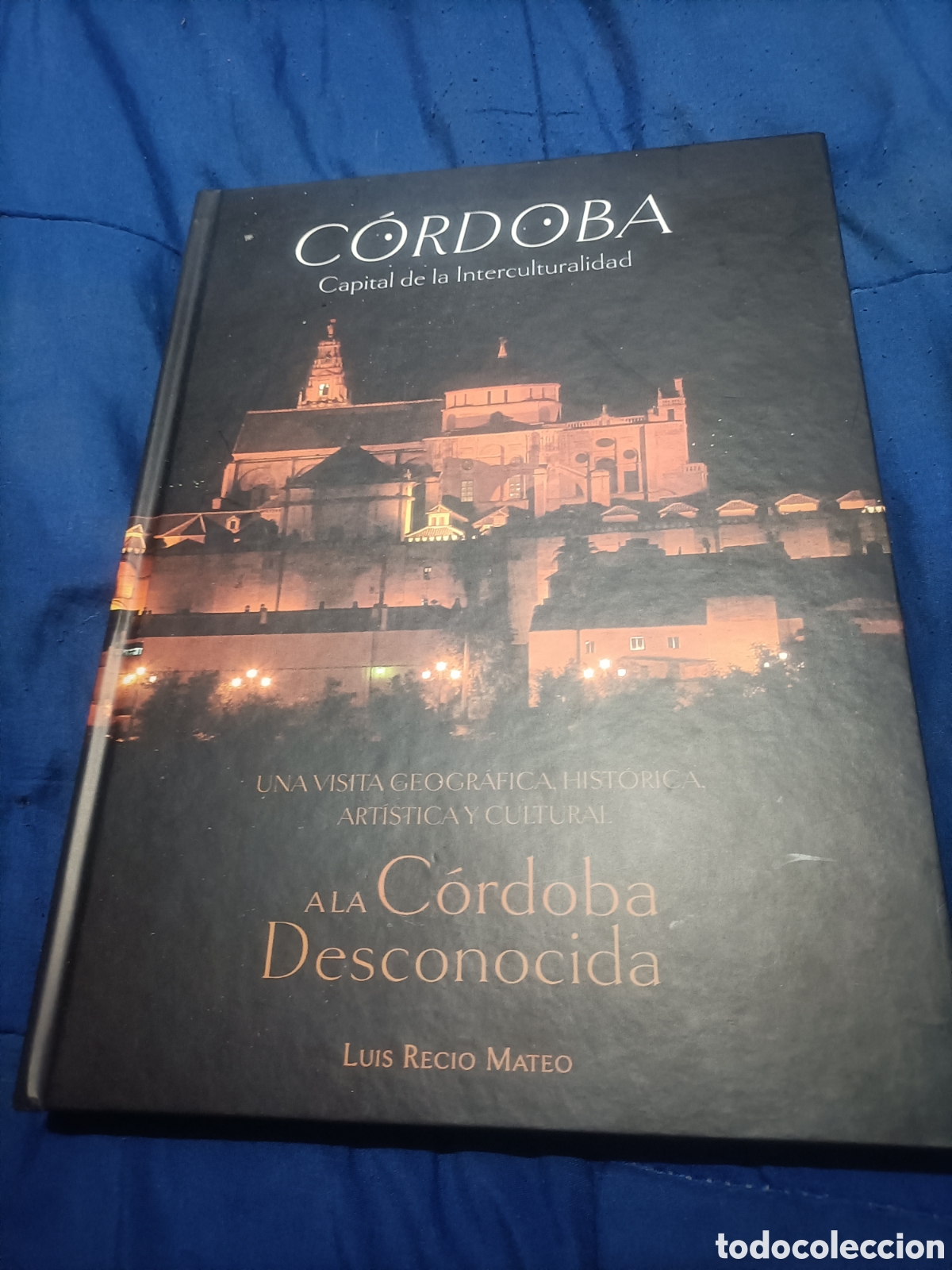Libri di seconda mano: UNA VISITA GEOGR&Aacute;FICA, HIST&Oacute;RICA, ART&Iacute;STICA Y CULTURAL A LA C&Oacute;RDOBA DESCONOCIDA Luis Recio
