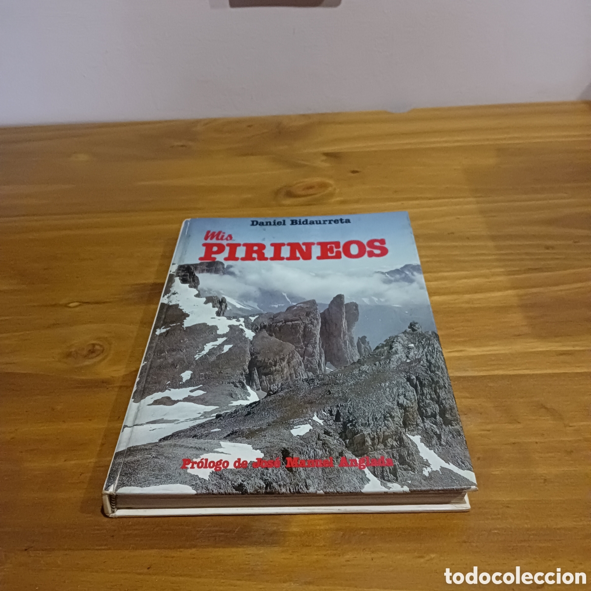Libri di seconda mano: Mis Pirineos. Ediciones club deportivo Navarra