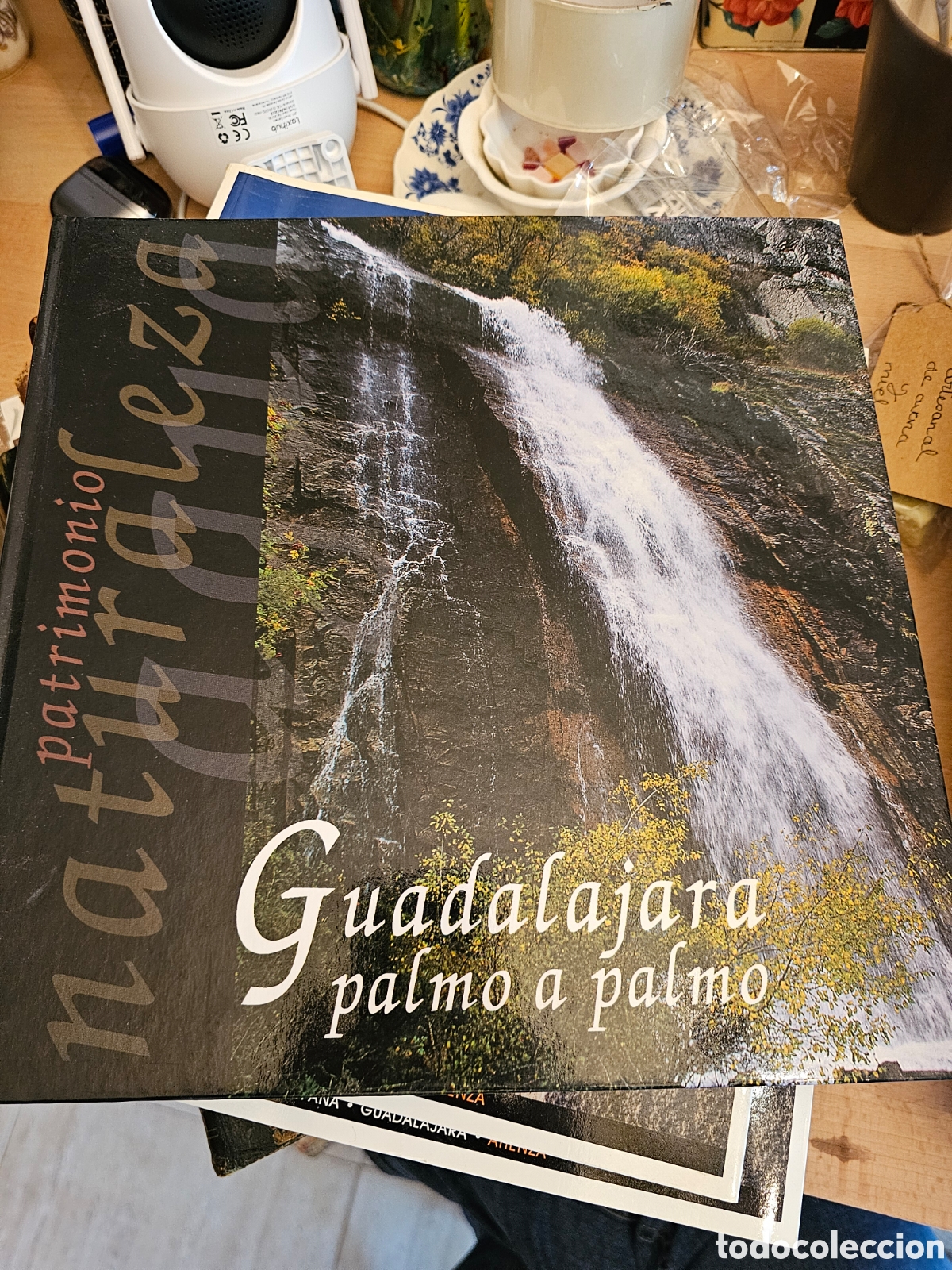 Gebrauchte B&uuml;cher: Guadalajara, palmo a palmo