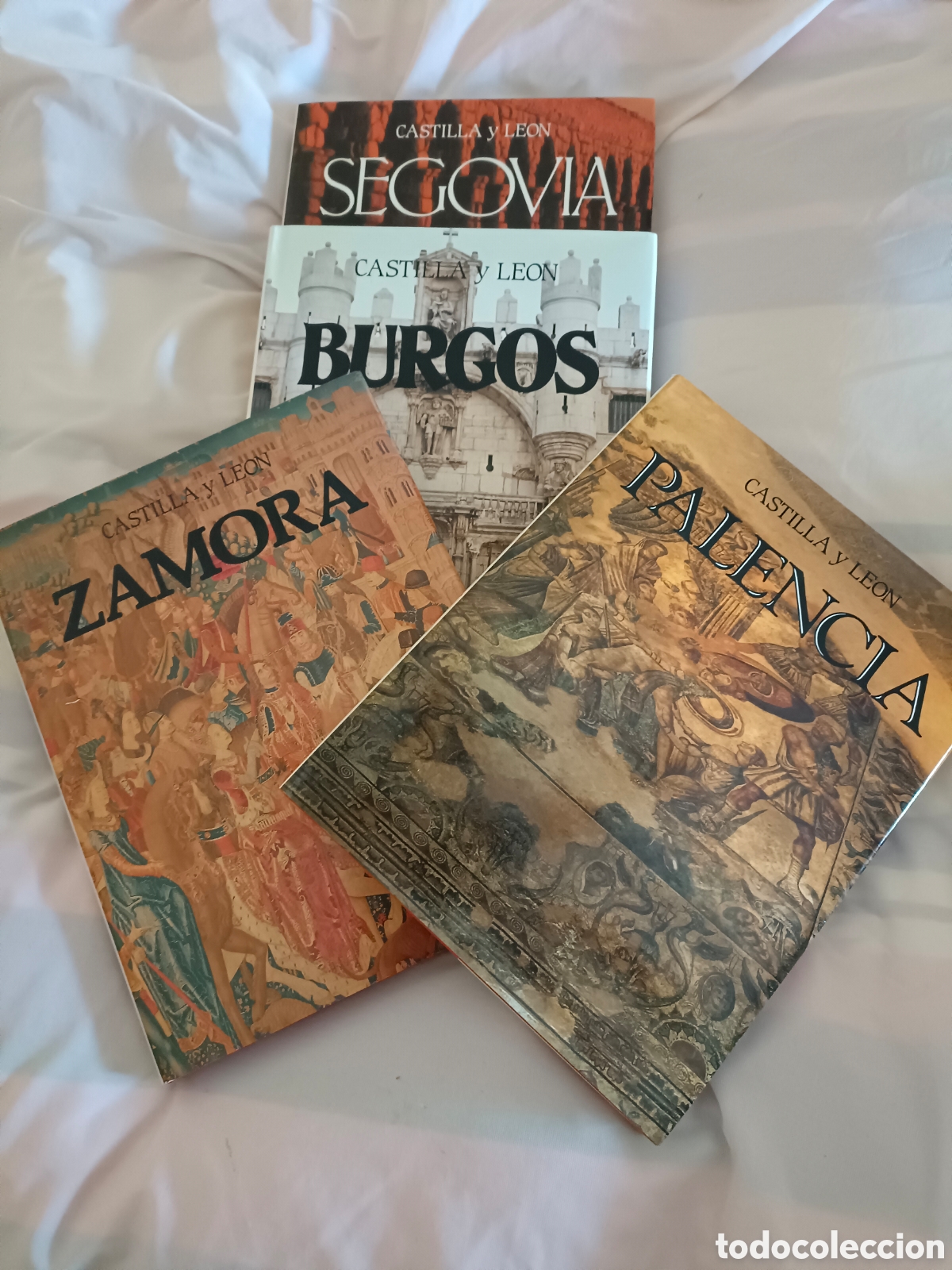 Libros de segunda mano: Lote de 3 Libros sobre Castilla y Le&oacute;n - Foto 1