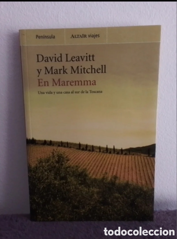 Libros de segunda mano: David leavitt - M mitchell / En maremma - Foto 1