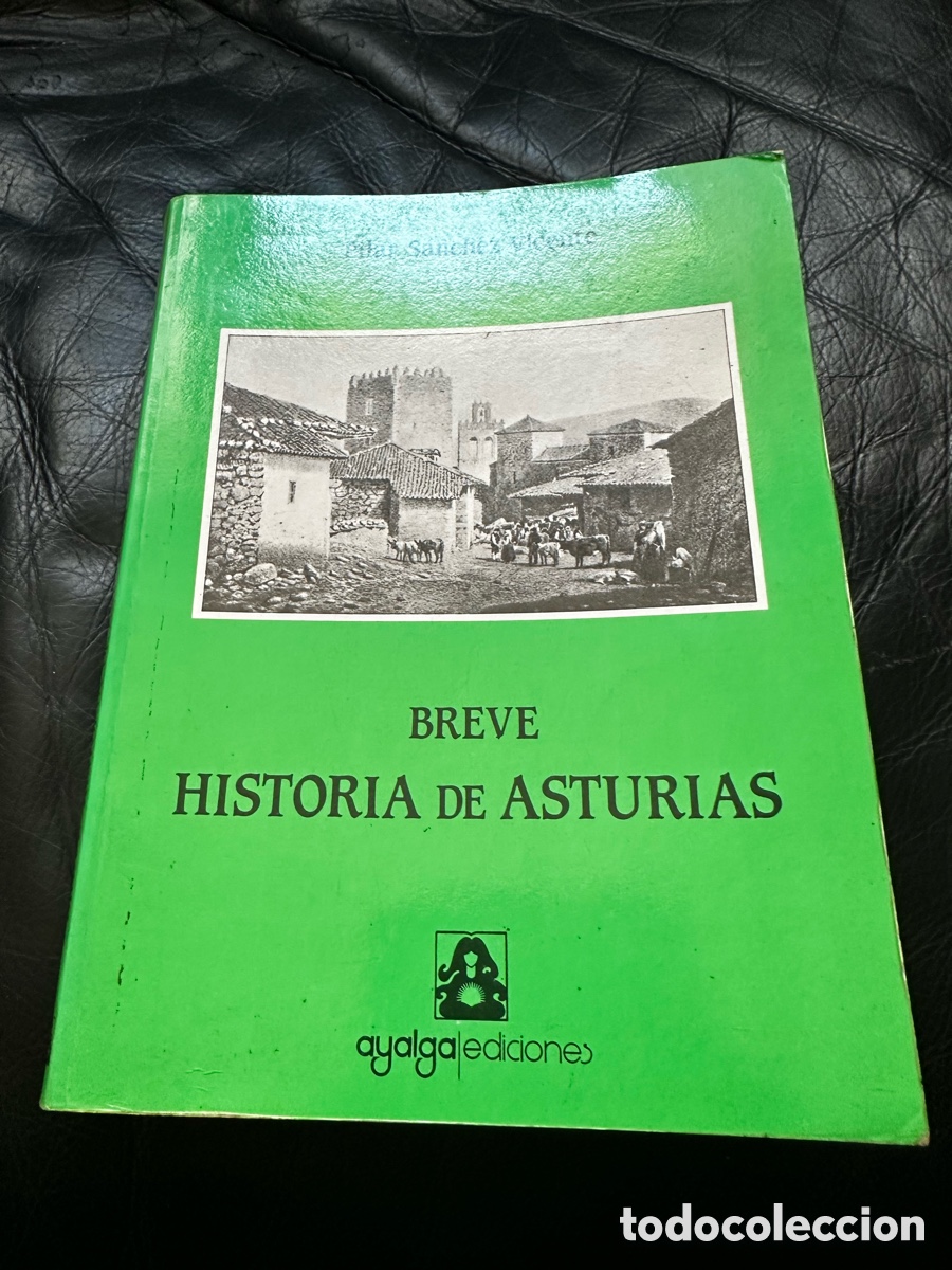 Libros de segunda mano: Breve historia De Asturias Pilar S&aacute;nchez Vicente Ayalga ediciones