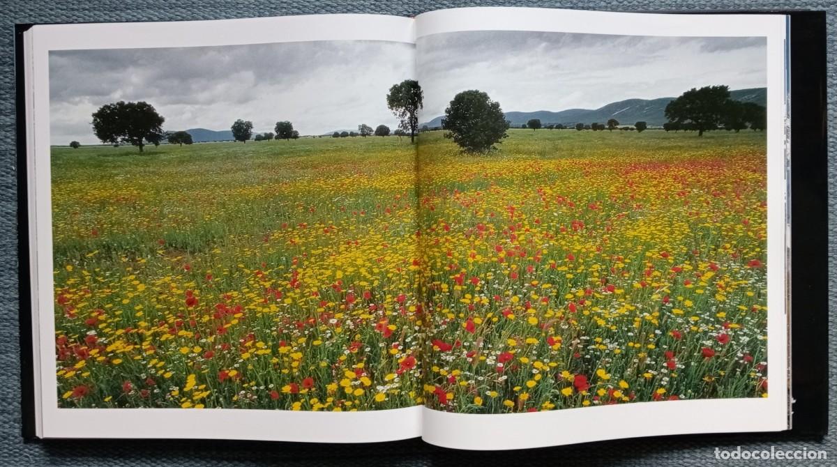 Libros de segunda mano: Parques Nacionales de Espa&ntilde;a - Foto 7