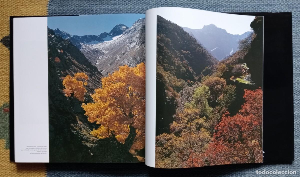 Libros de segunda mano: Parques Nacionales de Espa&ntilde;a - Foto 10