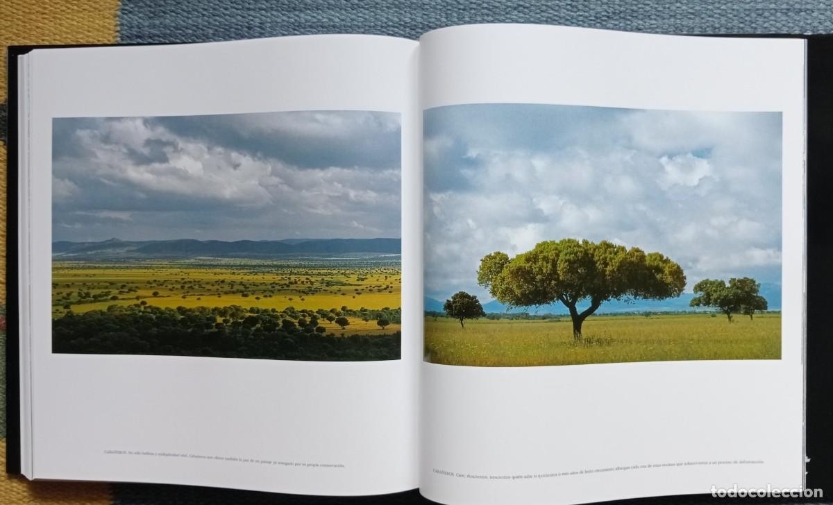 Libros de segunda mano: Parques Nacionales de Espa&ntilde;a - Foto 11
