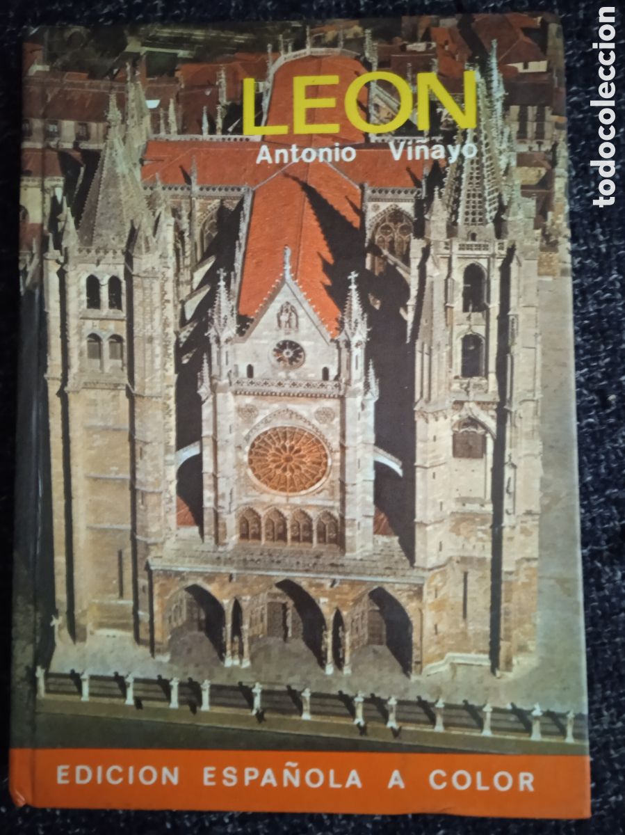 Libros de segunda mano: guia Le&oacute;n / Vi&ntilde;ayo -ed. everest