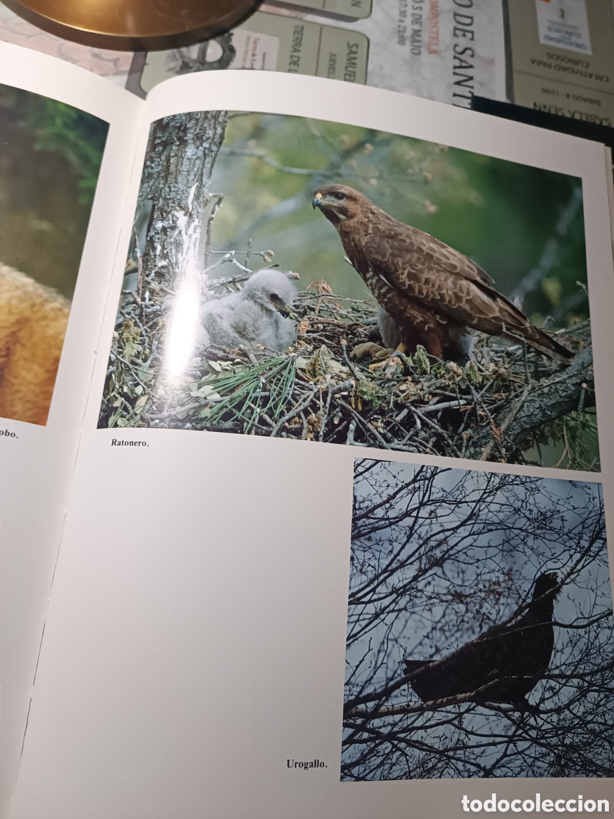 Libros de segunda mano: Ancares Ediciones Leonesas. 1987 - Foto 7