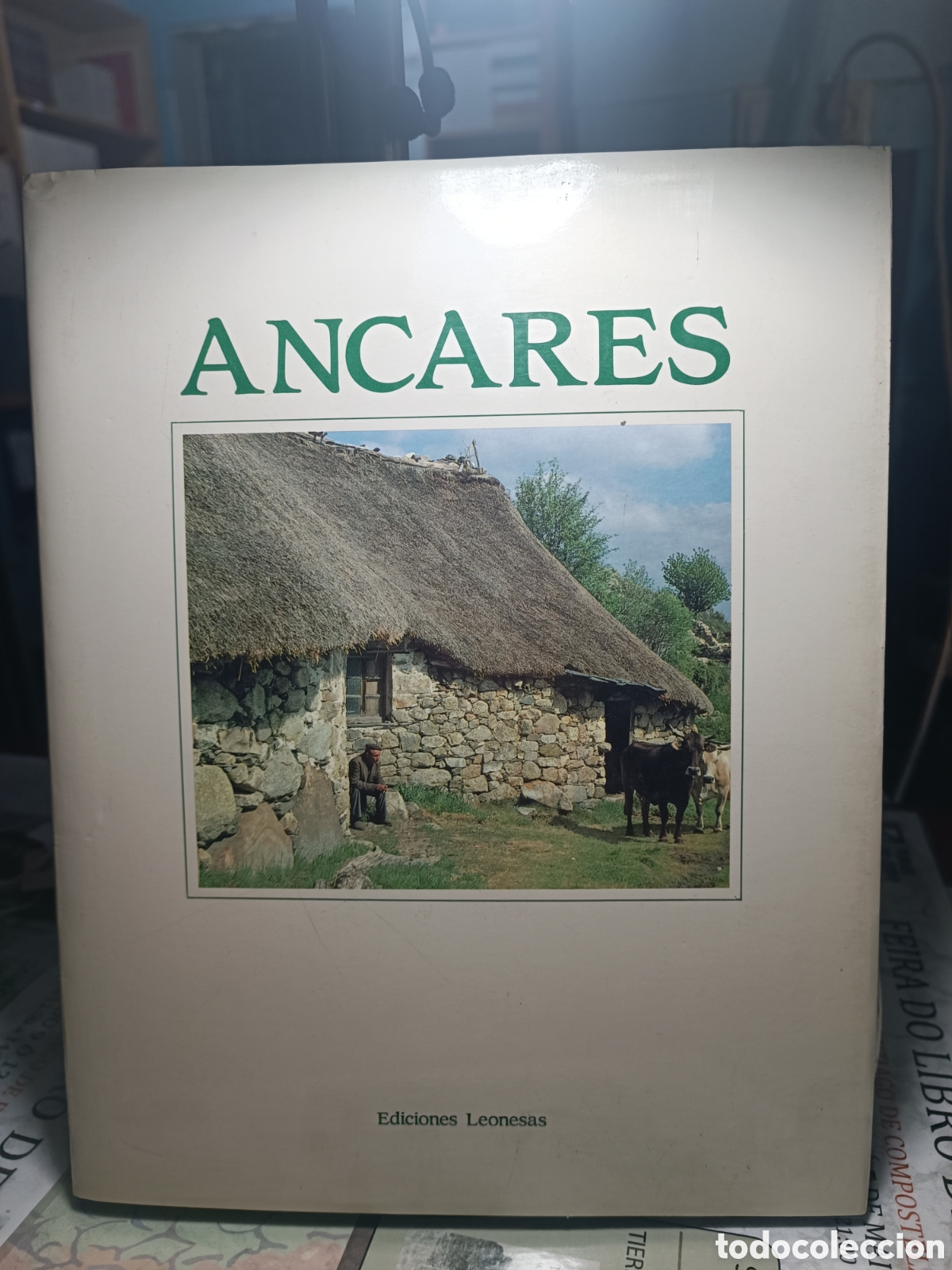 Libros de segunda mano: Ancares Ediciones Leonesas. 1987 - Foto 1