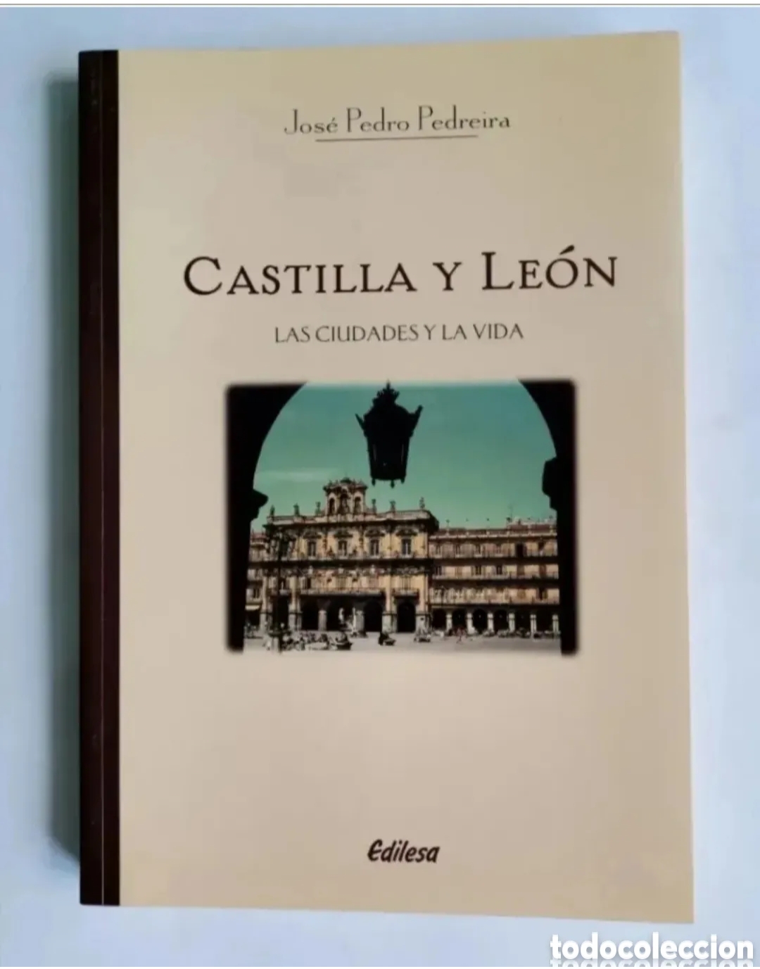 Gebrauchte B&uuml;cher: Castilla Le&oacute;n las ciudades y la vida Jos&eacute; Pedro Pedreira edilesa