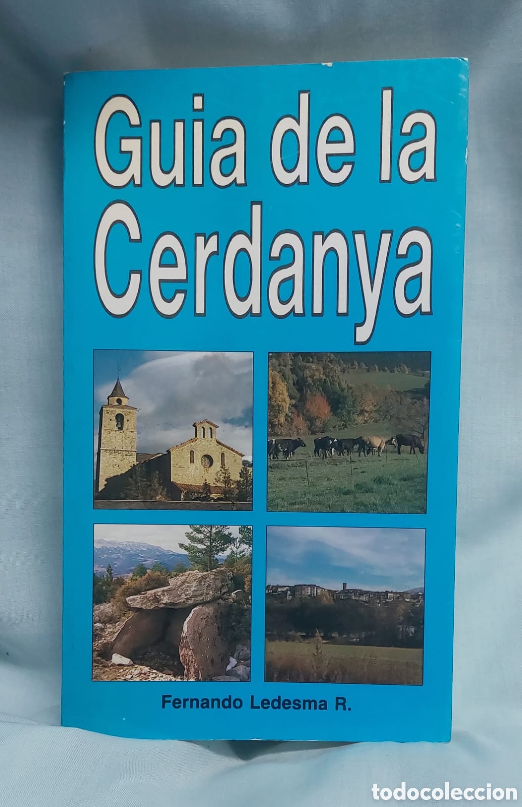 Libros de segunda mano: LIBRO GUIA DE LA CERDANYA