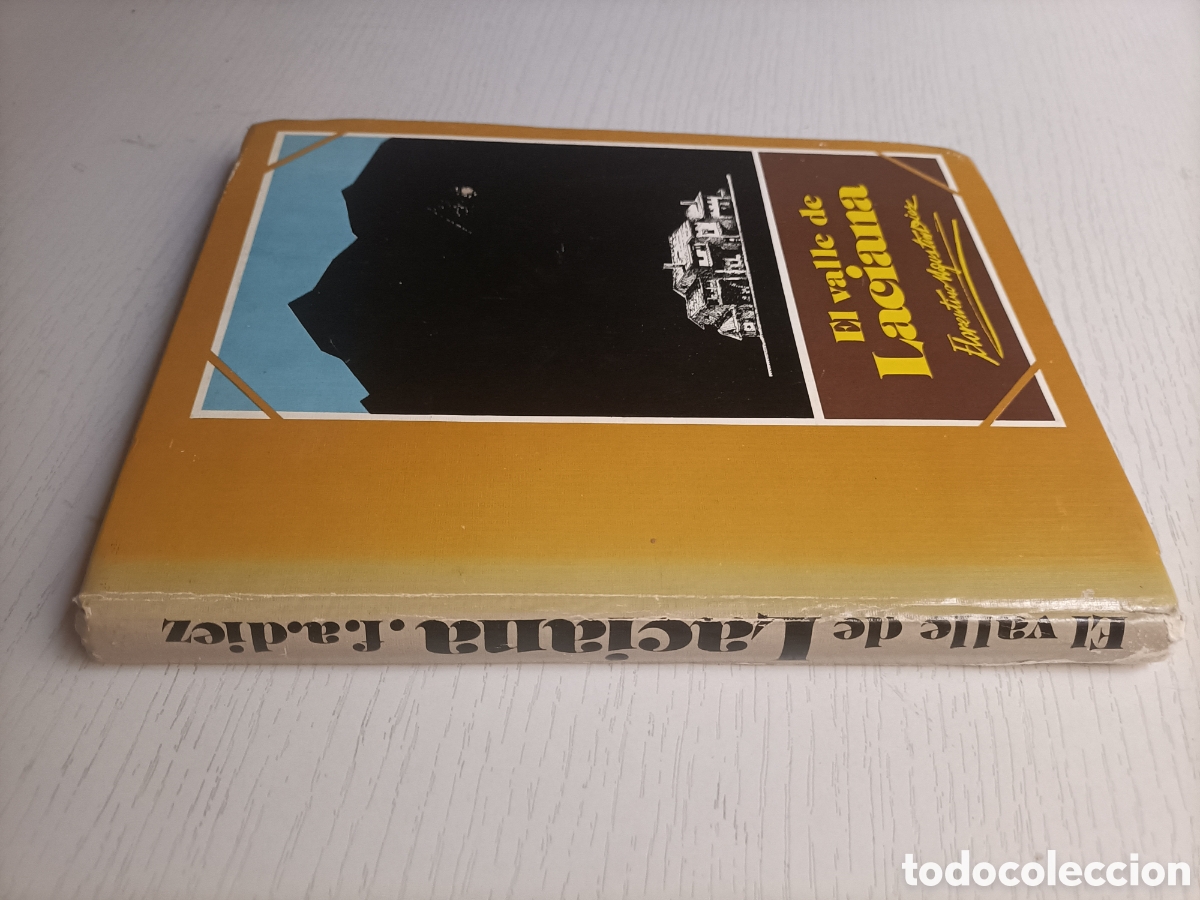 Libri di seconda mano: El valle de laciana Florentino Agust&iacute;n D&iacute;az. Le&oacute;n