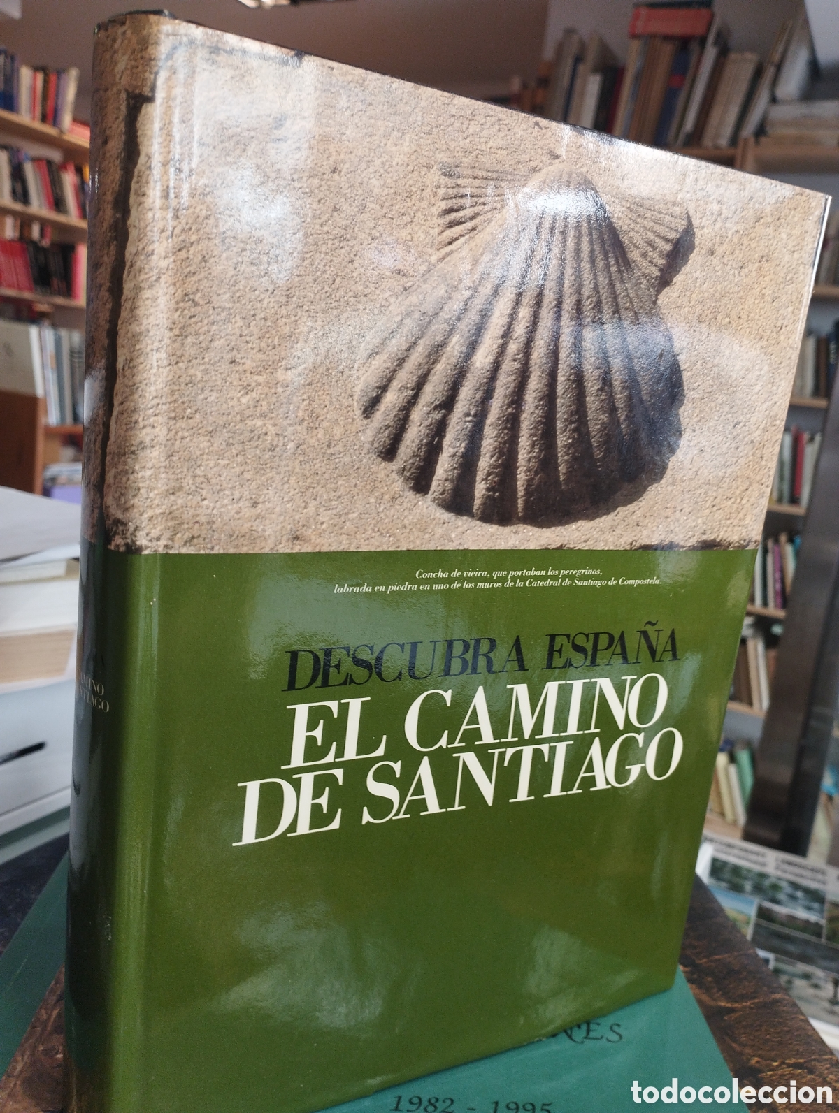 Libri di seconda mano: Descubra Espa&ntilde;a. Luis Agromayor. El camino de Santiago
