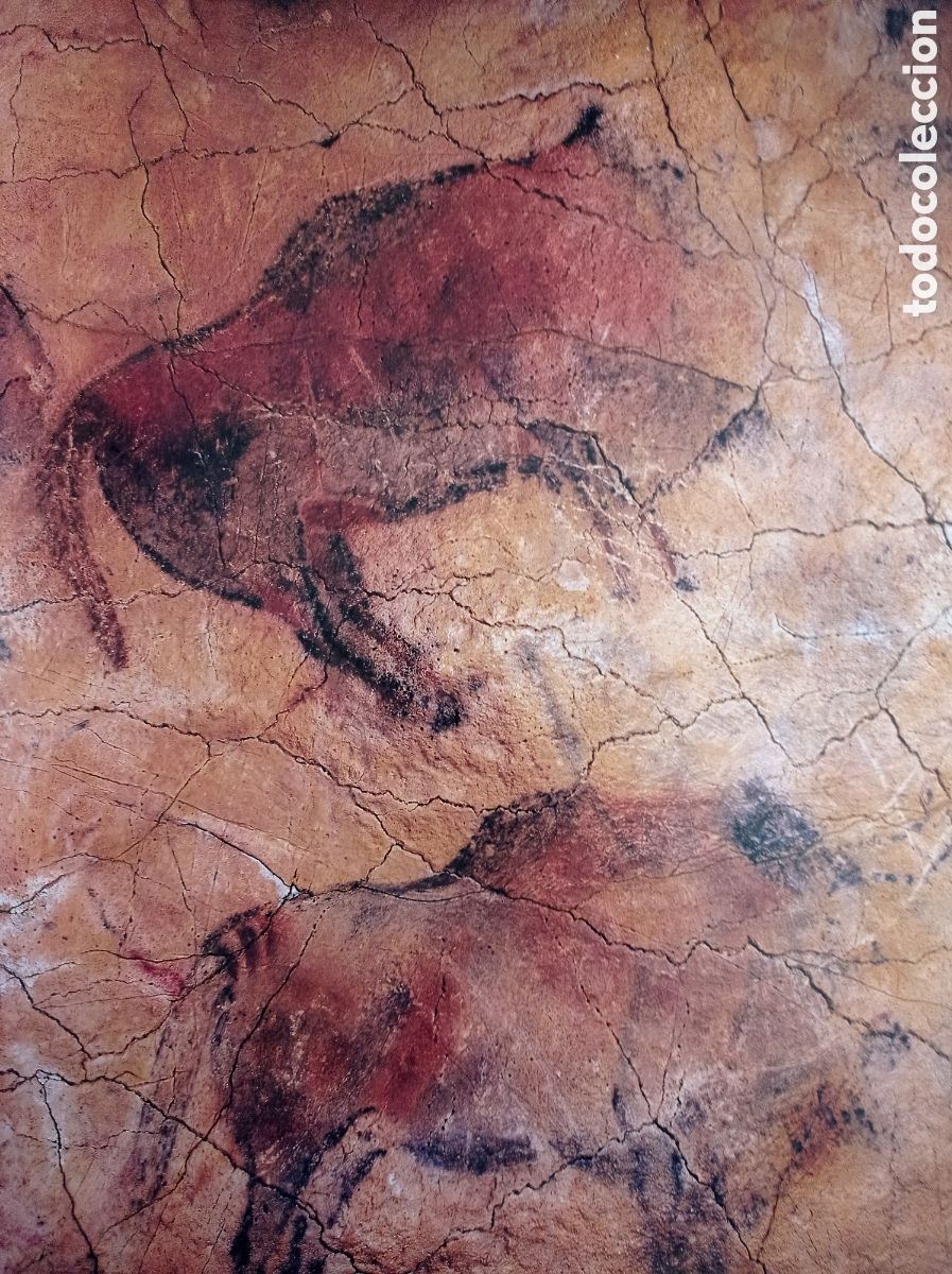 Libros de segunda mano: REDESCUBRIR ALTAMIRA. - Foto 2