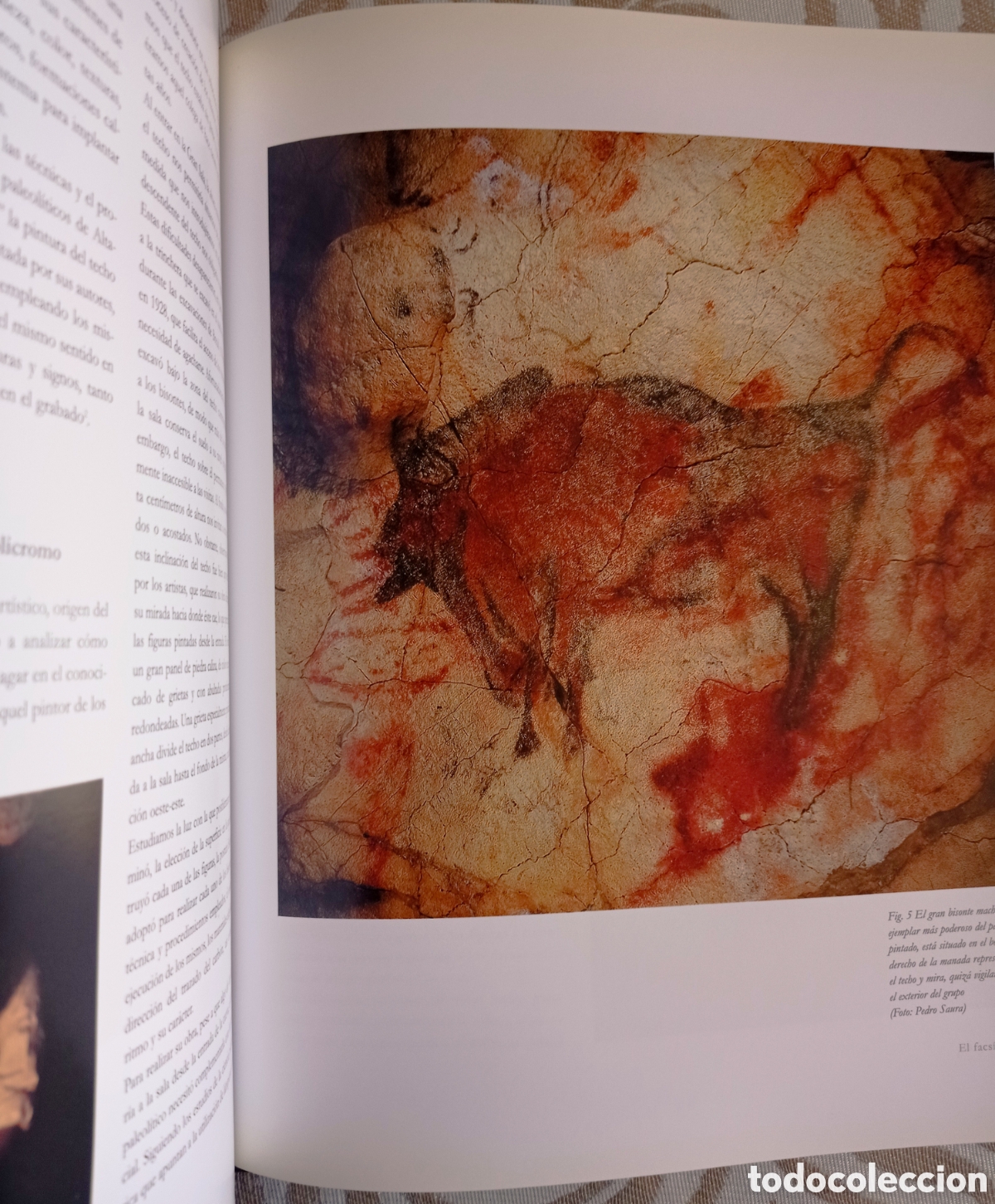 Libros de segunda mano: REDESCUBRIR ALTAMIRA. - Foto 5
