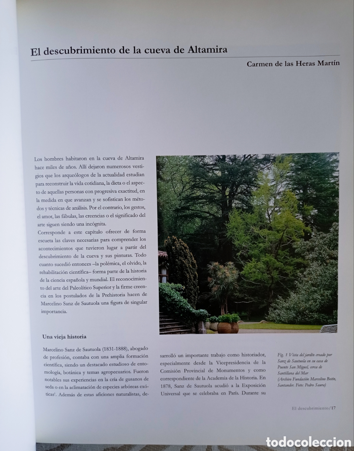 Libros de segunda mano: REDESCUBRIR ALTAMIRA. - Foto 7