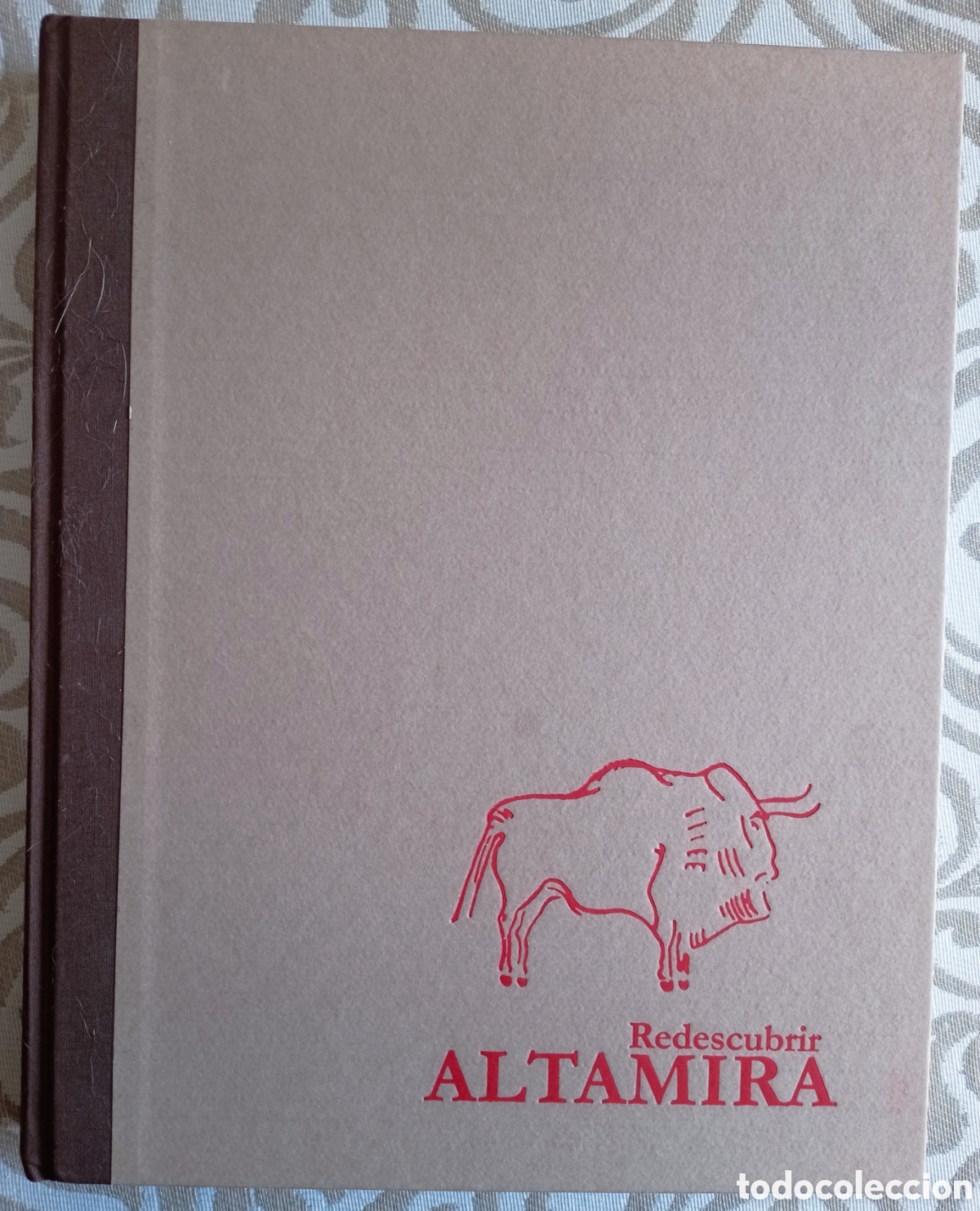 Libros de segunda mano: REDESCUBRIR ALTAMIRA. - Foto 1