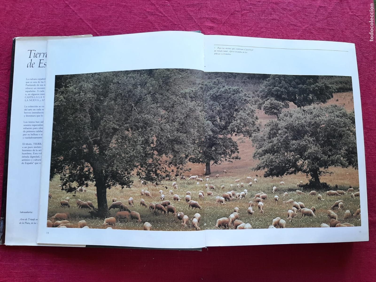 Libros de segunda mano: Extremadura - Vv. Aa. - Foto 6