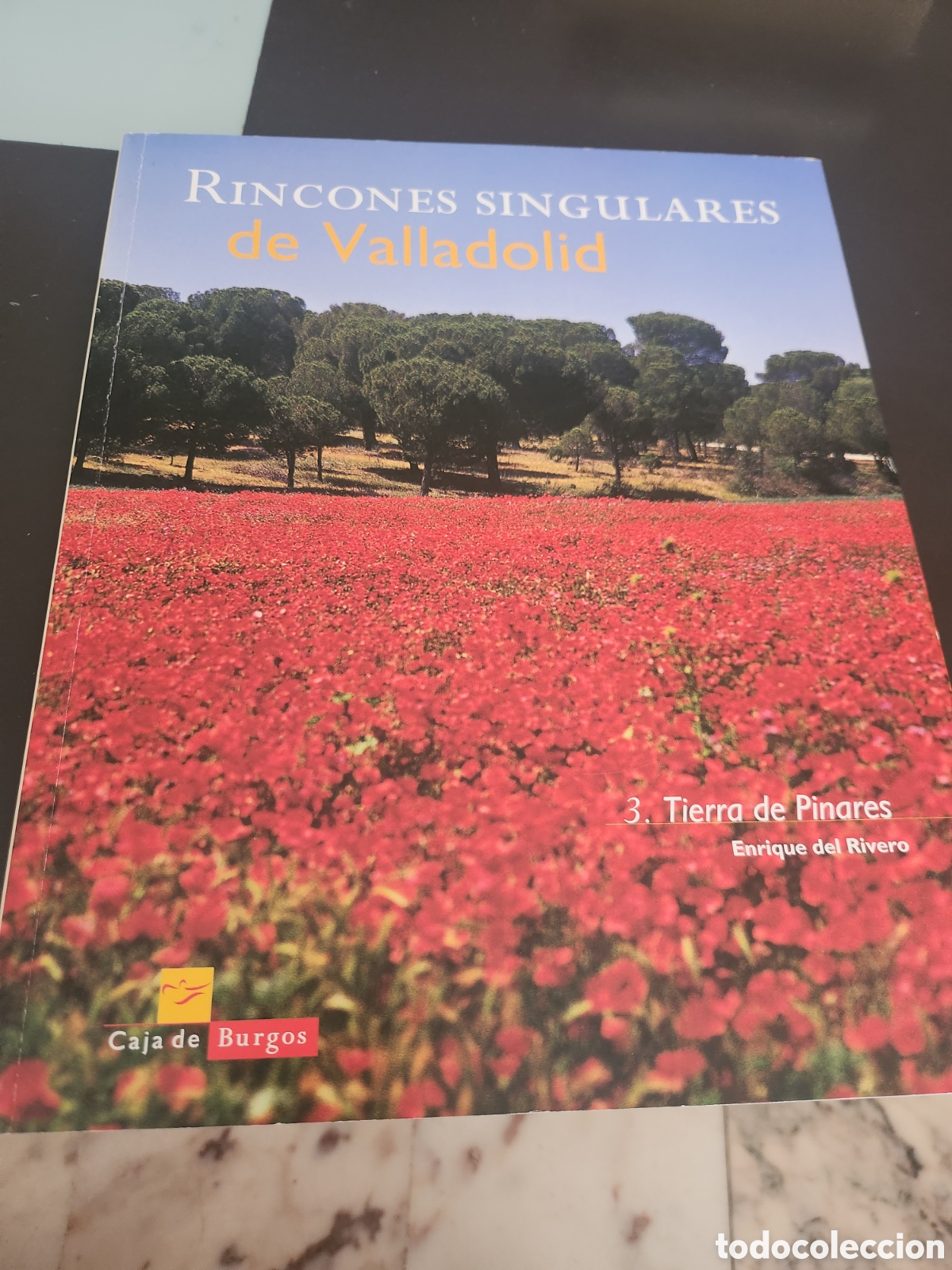 Livres d'occasion: Rincones singulares de Valladolid - tierra de Pinares -