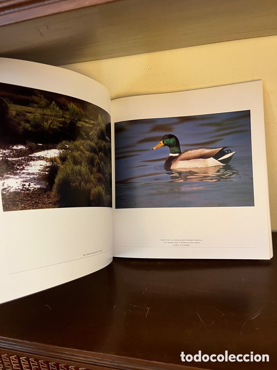 Libros de segunda mano: Las Hoces del Cabriel - Foto 2
