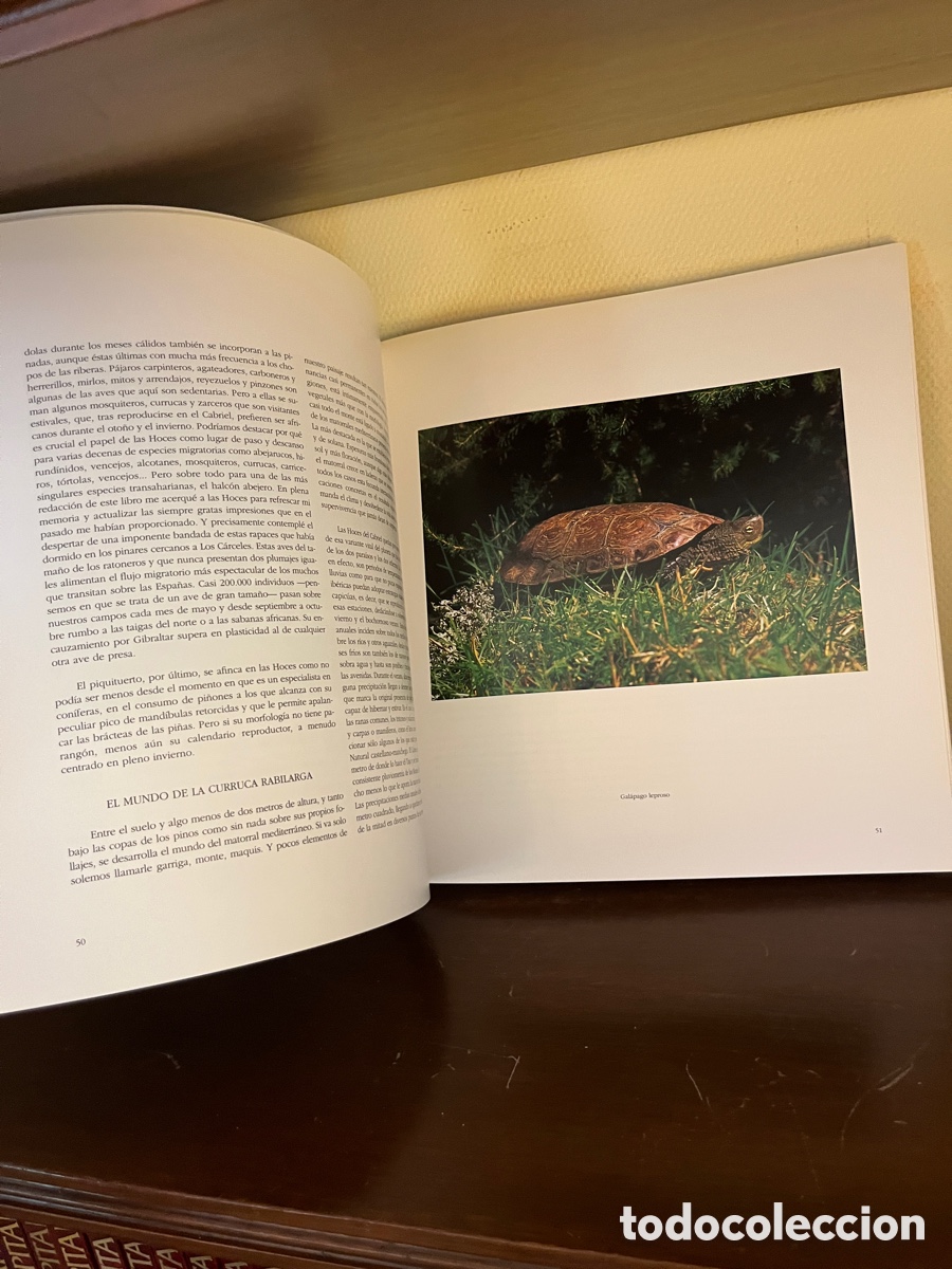 Libros de segunda mano: Las Hoces del Cabriel - Foto 3