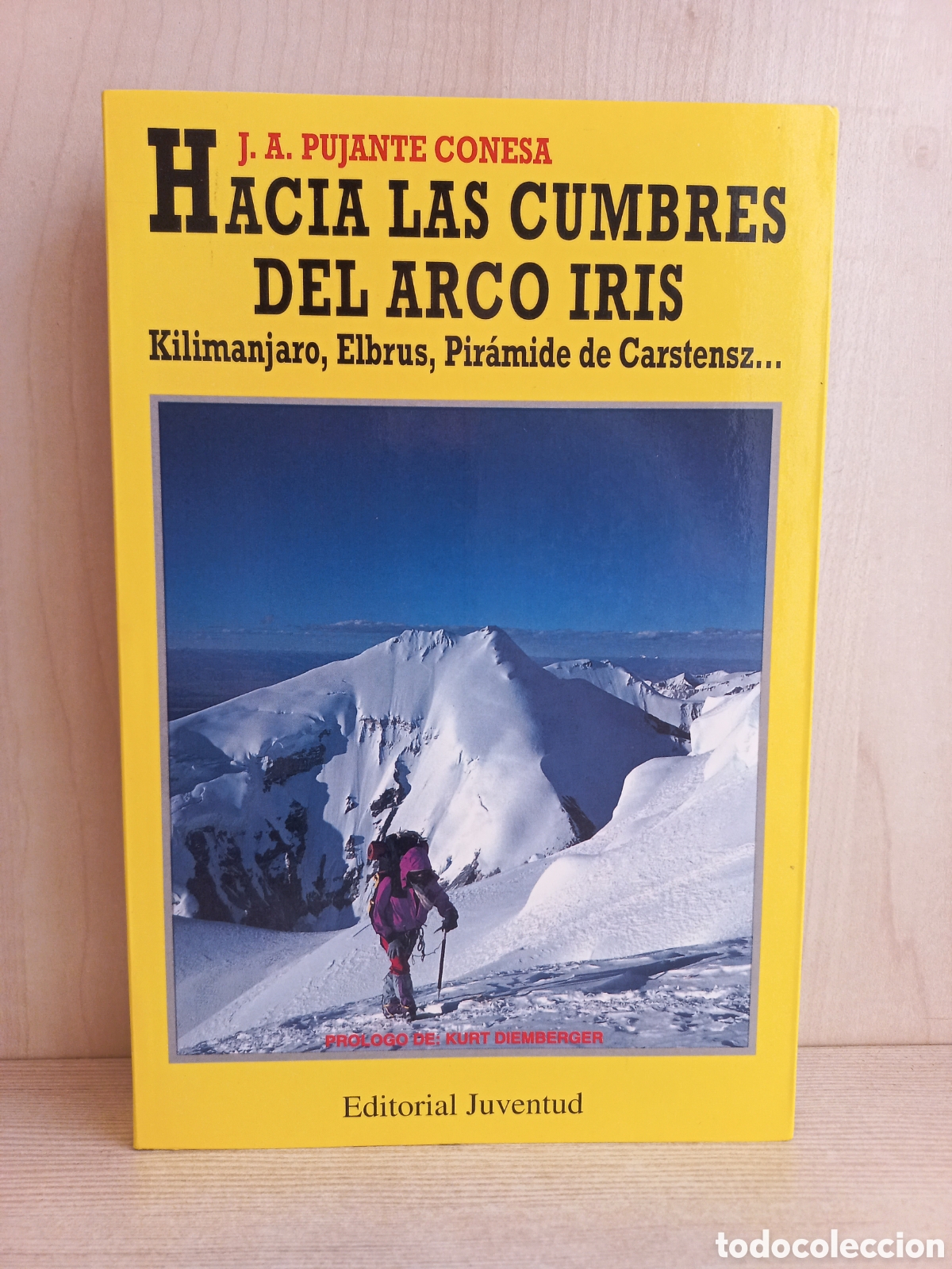 Libri di seconda mano: Hacia las cumbres del arco iris. Pujante Conesa. Juventud, primera edici&oacute;n, 1995. Ilustrado.