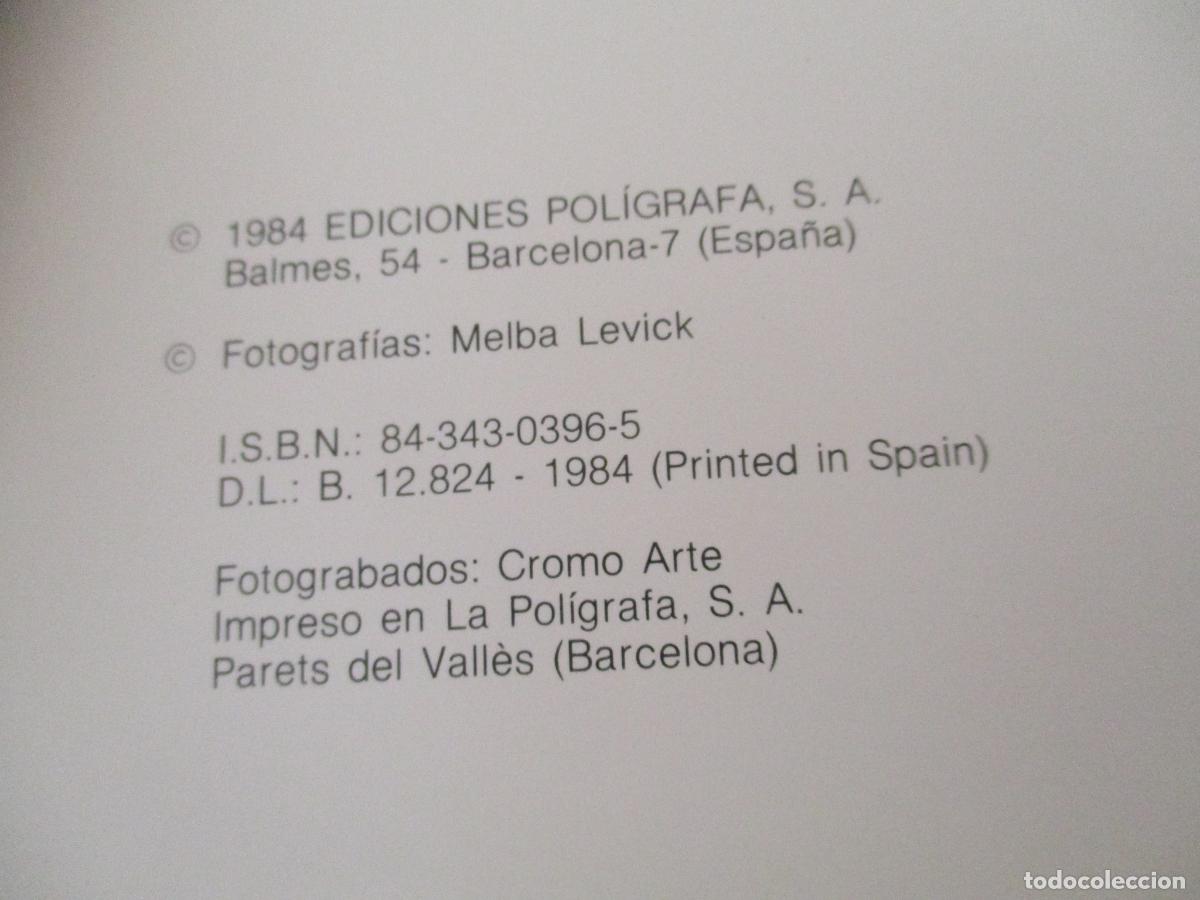 Libros de segunda mano: EDICIONES POL&Iacute;GRAFA-MENORCA 1984 - Foto 4