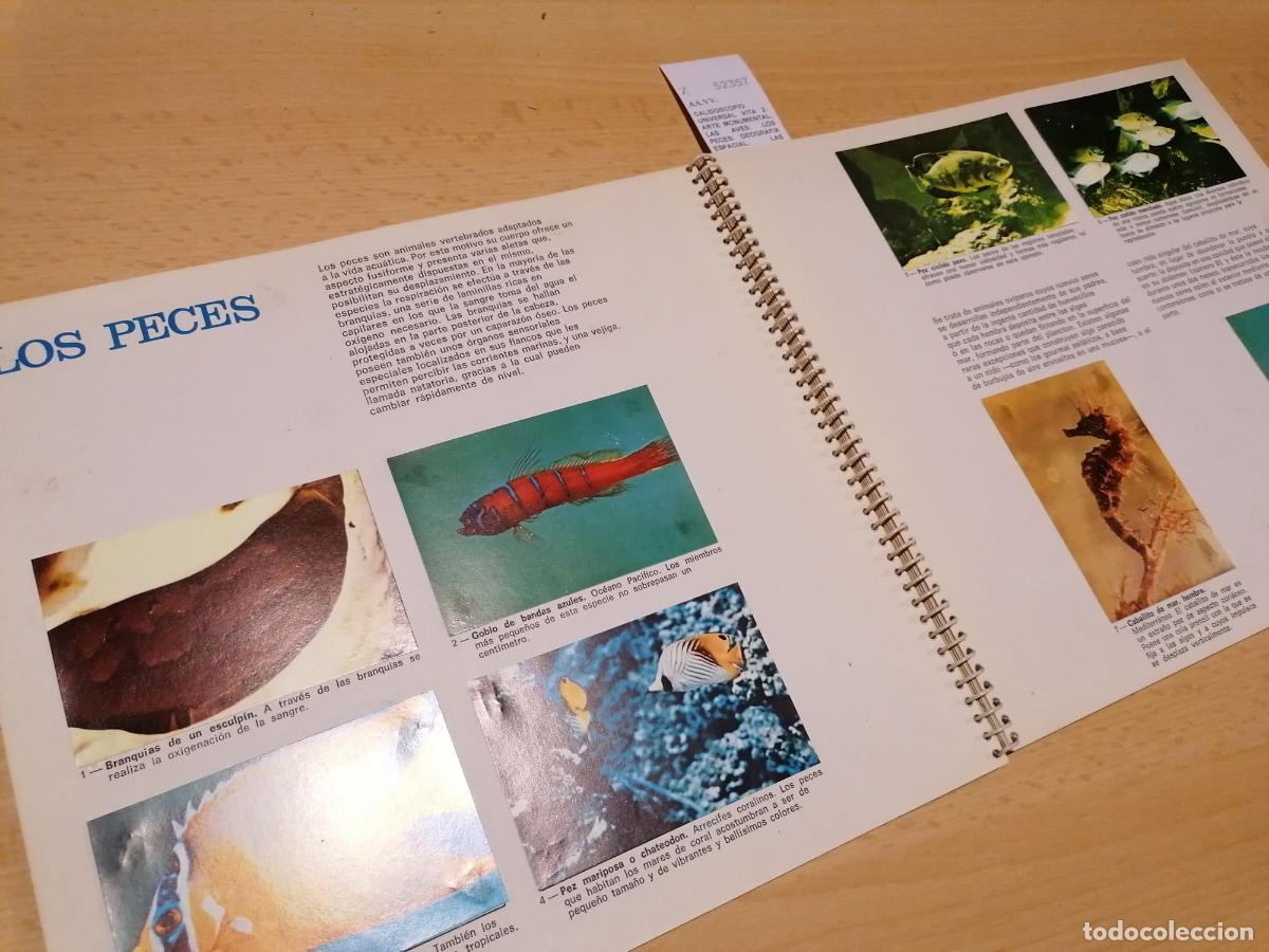 Libros de segunda mano: AA.VV. - CALIDOSCOPIO UNIVERSAL VITA 2: ARTE MONUMENTAL. LAS AVES. LOS PECES. GEOGRAFIA ESPACIAL. LA