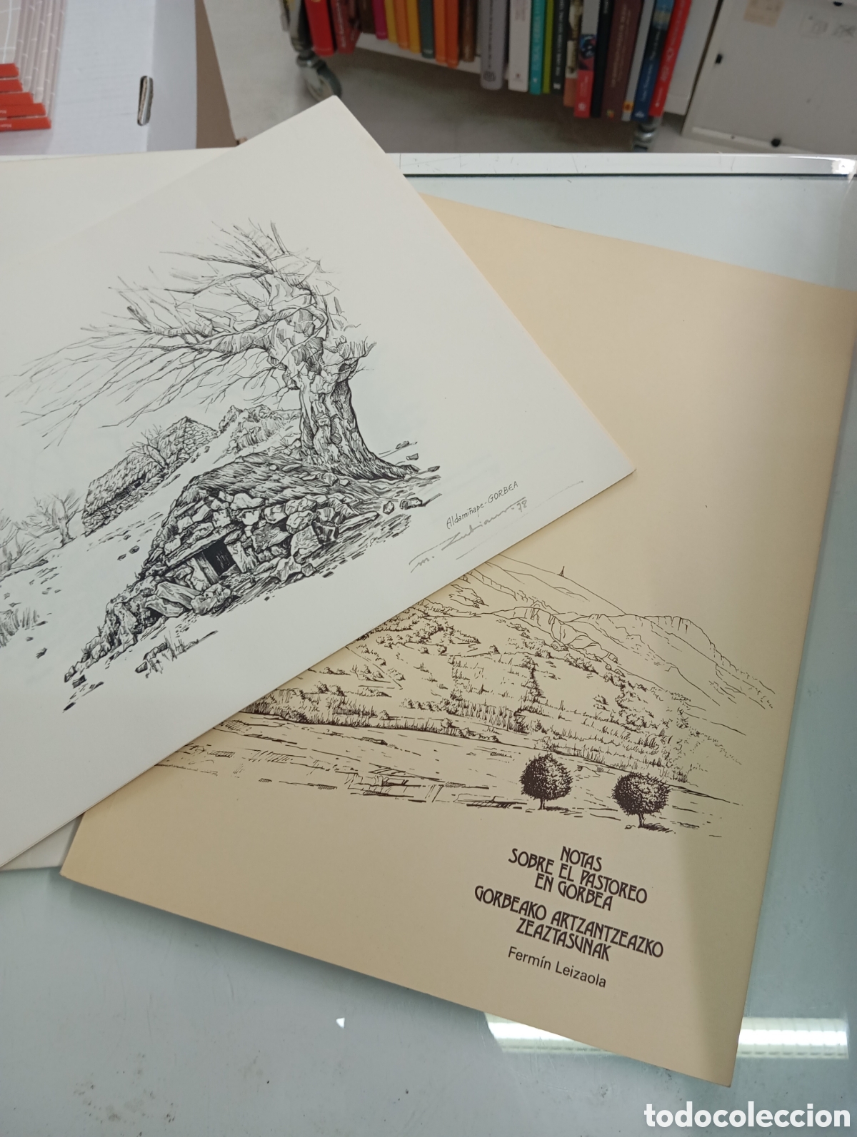 Libros de segunda mano: NOTAS SOBRE EL PASTOREO EN GORBEA FERMIN LEIZAOLA 14 GRABADOS DE ZUBIAUR BILING&Uuml;E PAIS VASCO