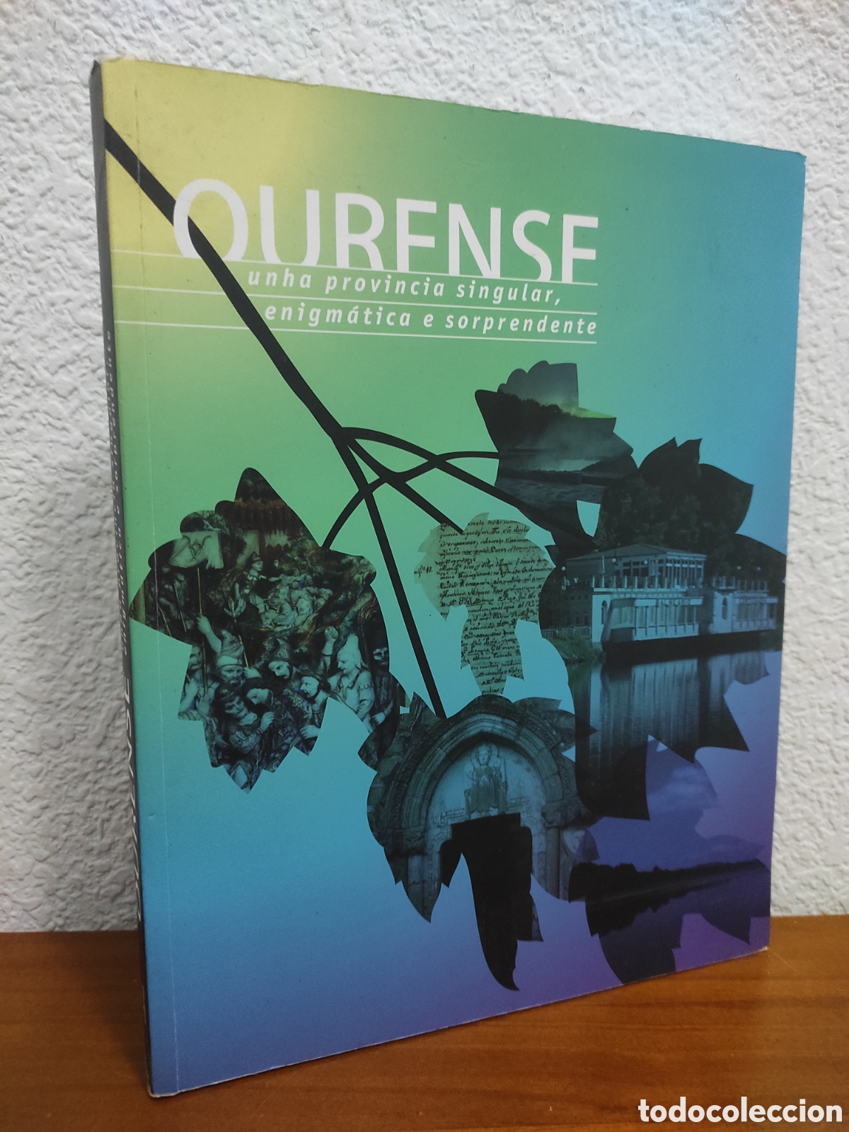 Libros de segunda mano: Ourense, unha provincia singular, enigm&aacute;tica e sorprendente