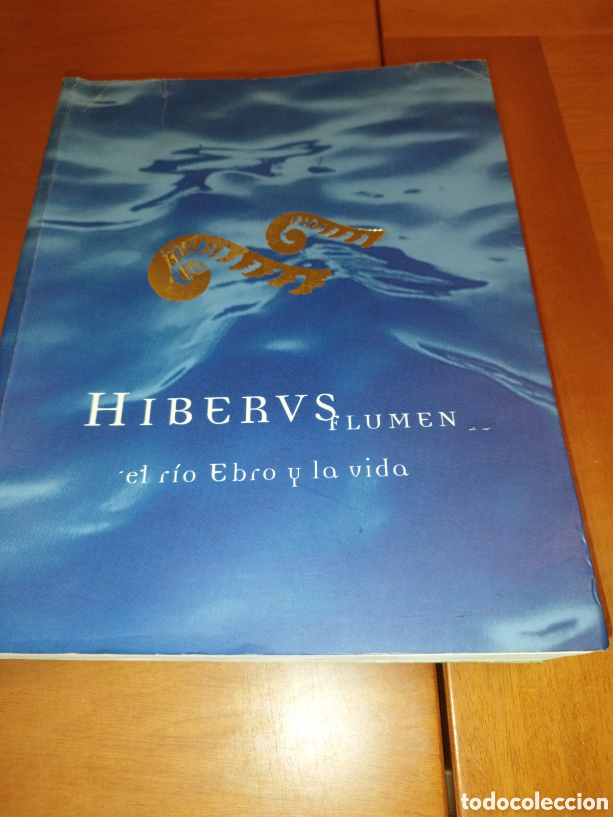Libri di seconda mano: HIBERUS FLUMEN. EL RIO EBRO Y LA VIDA. CATALOGO EXPOSICION ZARAGOZA 1999 MUY ILUSTRADO