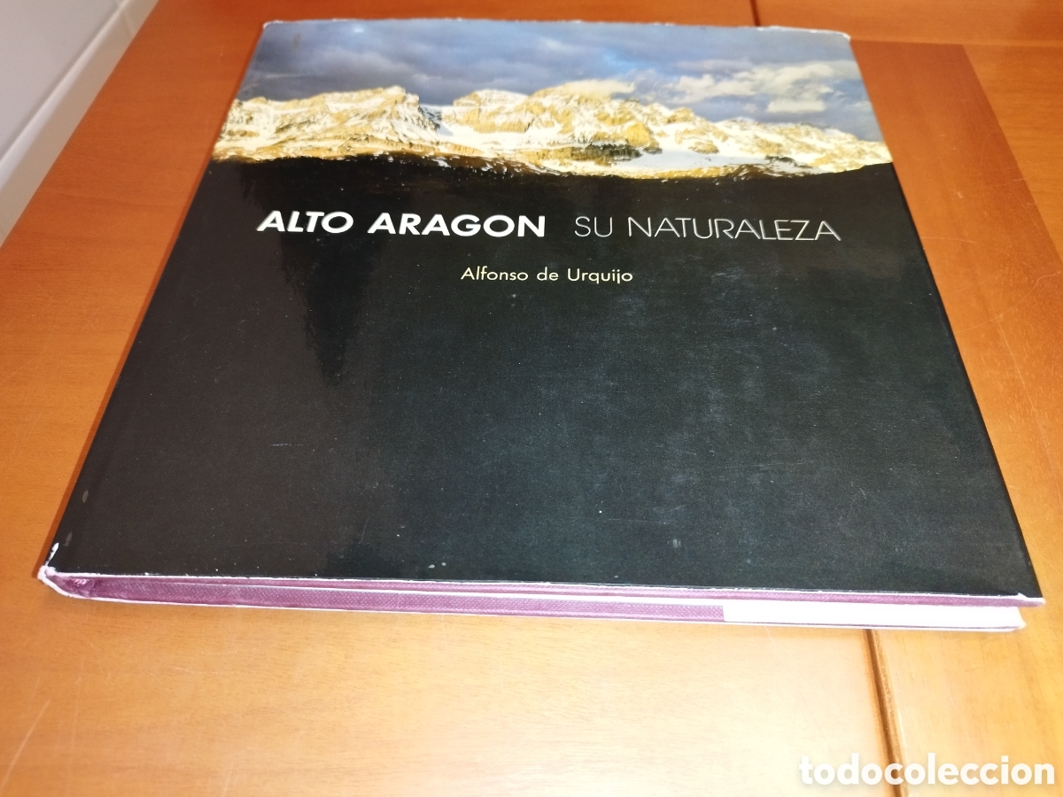 Libri di seconda mano: ALFONSO DE URQUIJO: ALTO ARAGON SU NATURALEZA. ED. ENERGIAS... ARAGONESAS, 1975. MUY ILUSTRADO