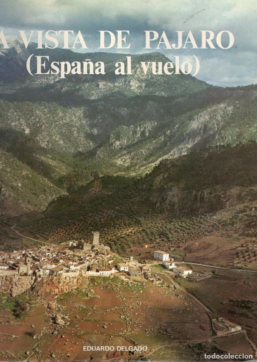 Libros de segunda mano: A VISTA DE PAJARO ESPA&Ntilde;A AL VUELO. DELGADO, EDUARDO, G-093