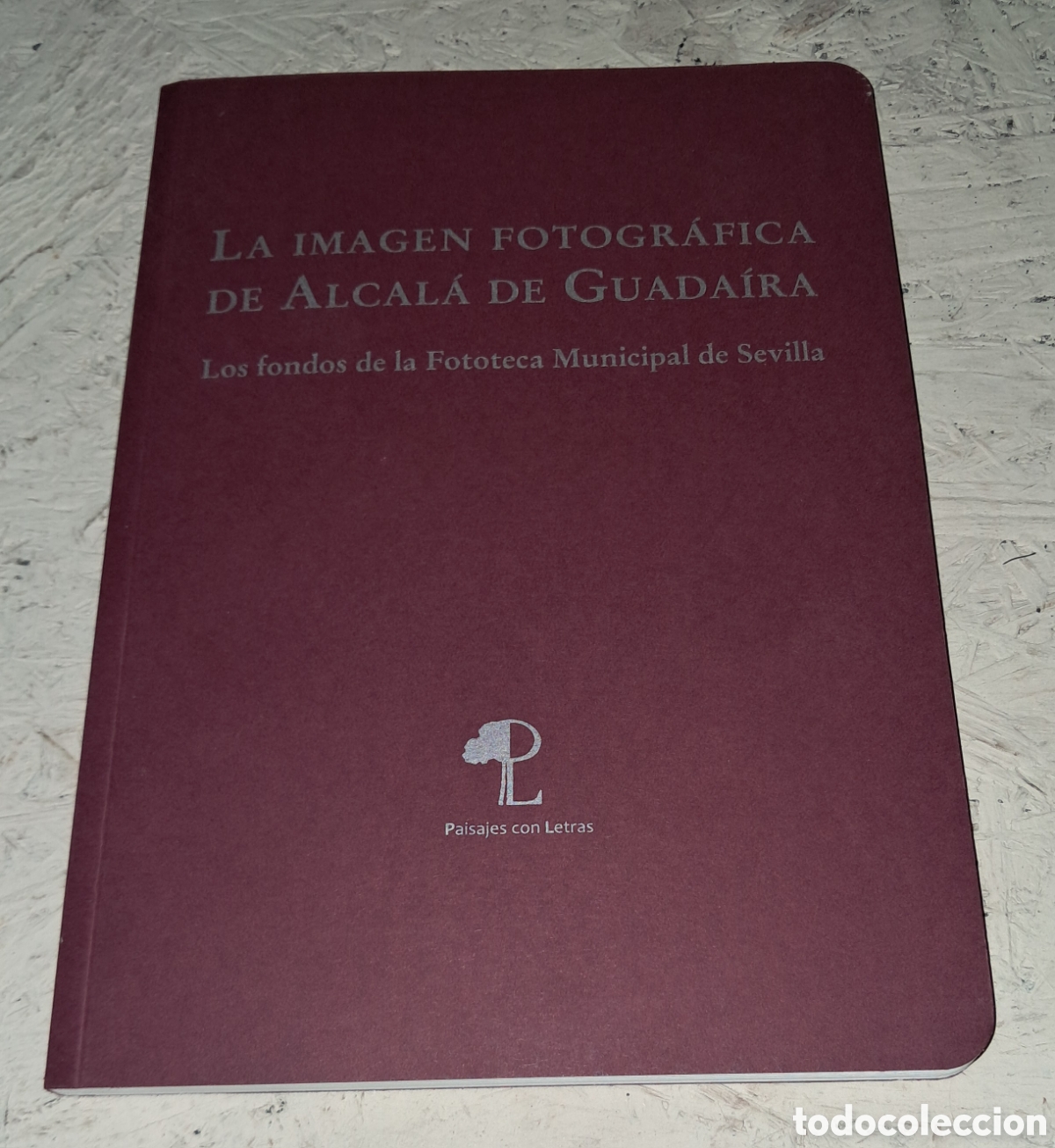Libros de segunda mano: IMAGEN FOTOGRAFICA ALCAL&Aacute; DE GUADAIRA, PAISAJES CON LETRAS N&deg;14 2021