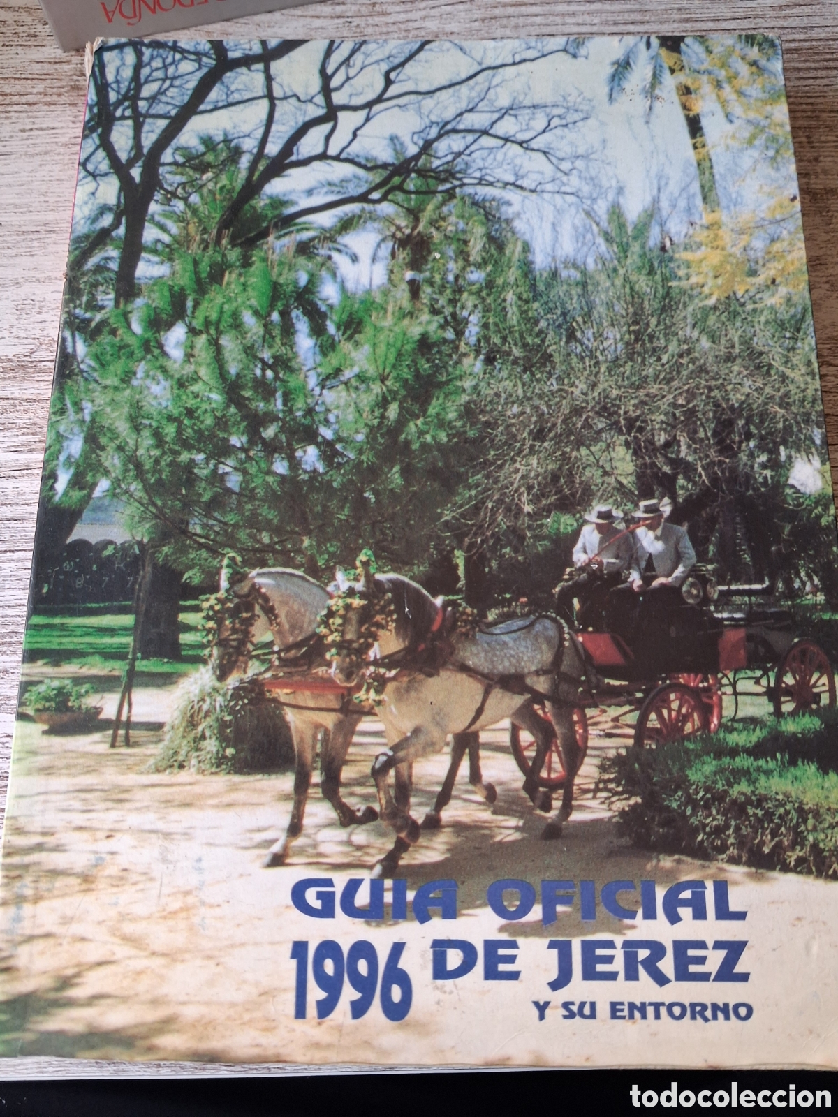 Gebrauchte B&uuml;cher: Guia oficial 1996 de jerez y su entorno