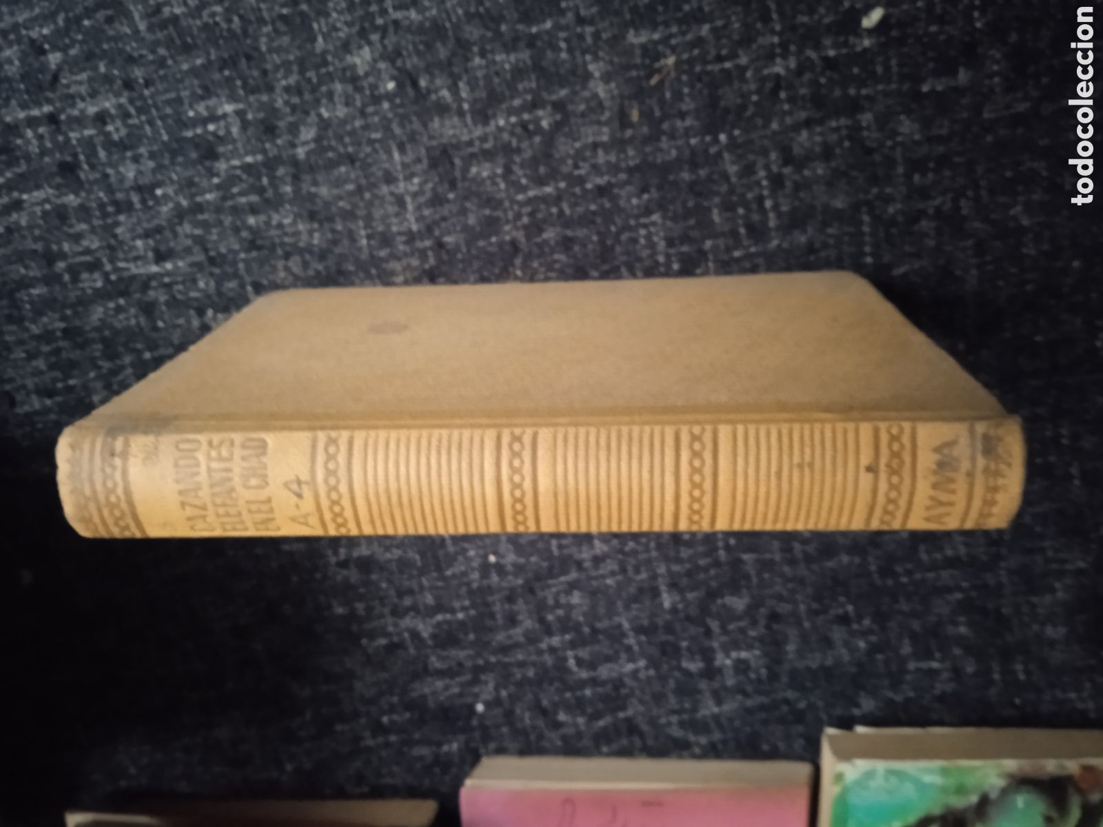 Gebrauchte B&uuml;cher: CAZANDO ELEFANTES EN EL CHAD / HEINRICH OBERJOHANN