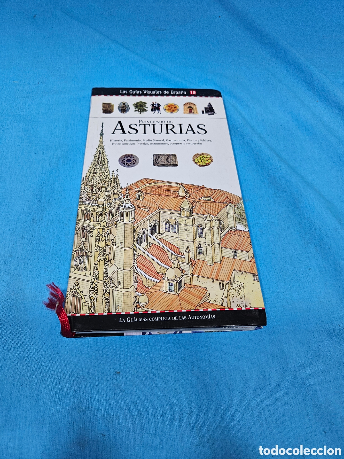 Libros de segunda mano: LAS GUIAS VISUALES DE ESPA&Ntilde;A. PRINCIPADO DE ASTURIAS