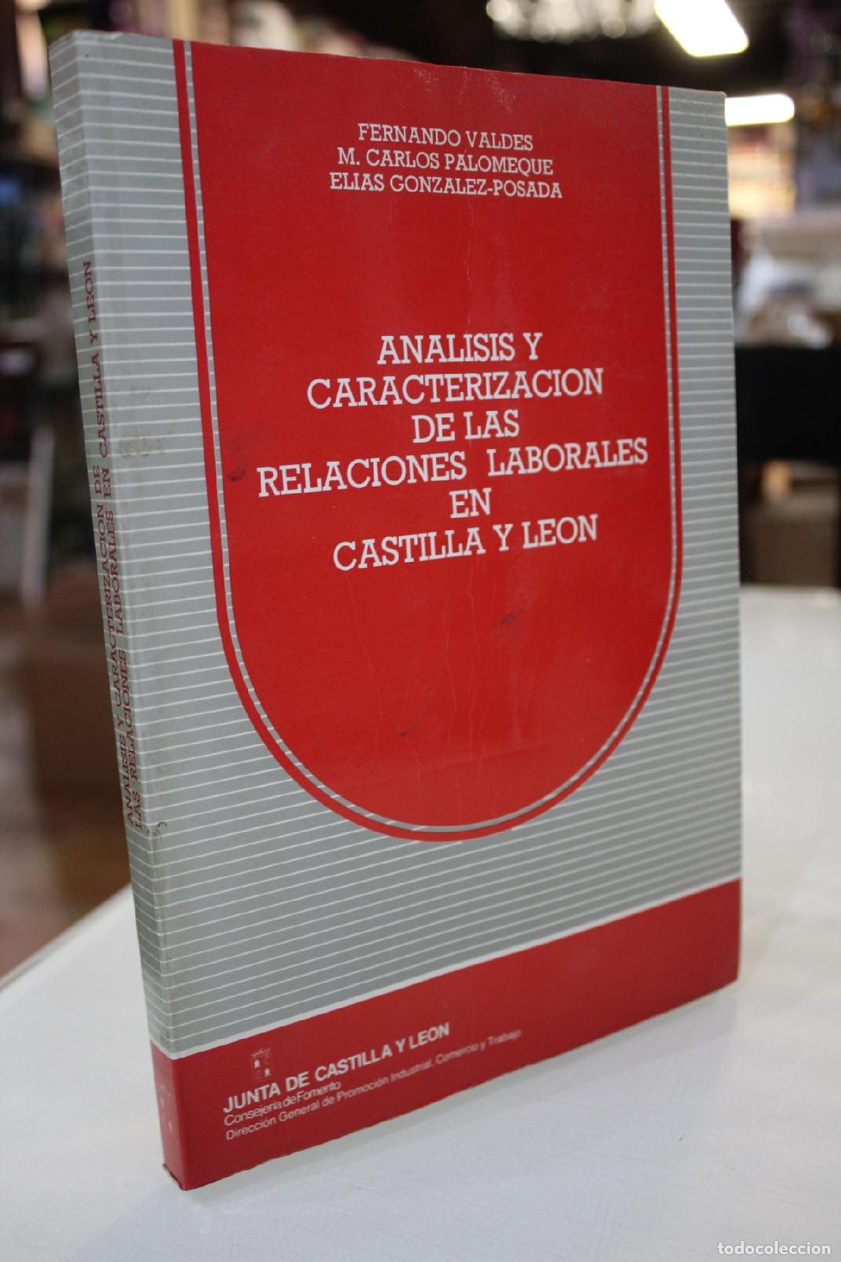 Gebrauchte B&uuml;cher: An&aacute;lisis y caracterizaci&oacute;n de las relaciones laborales en Castilla y Le&oacute;n - Unknown Author
