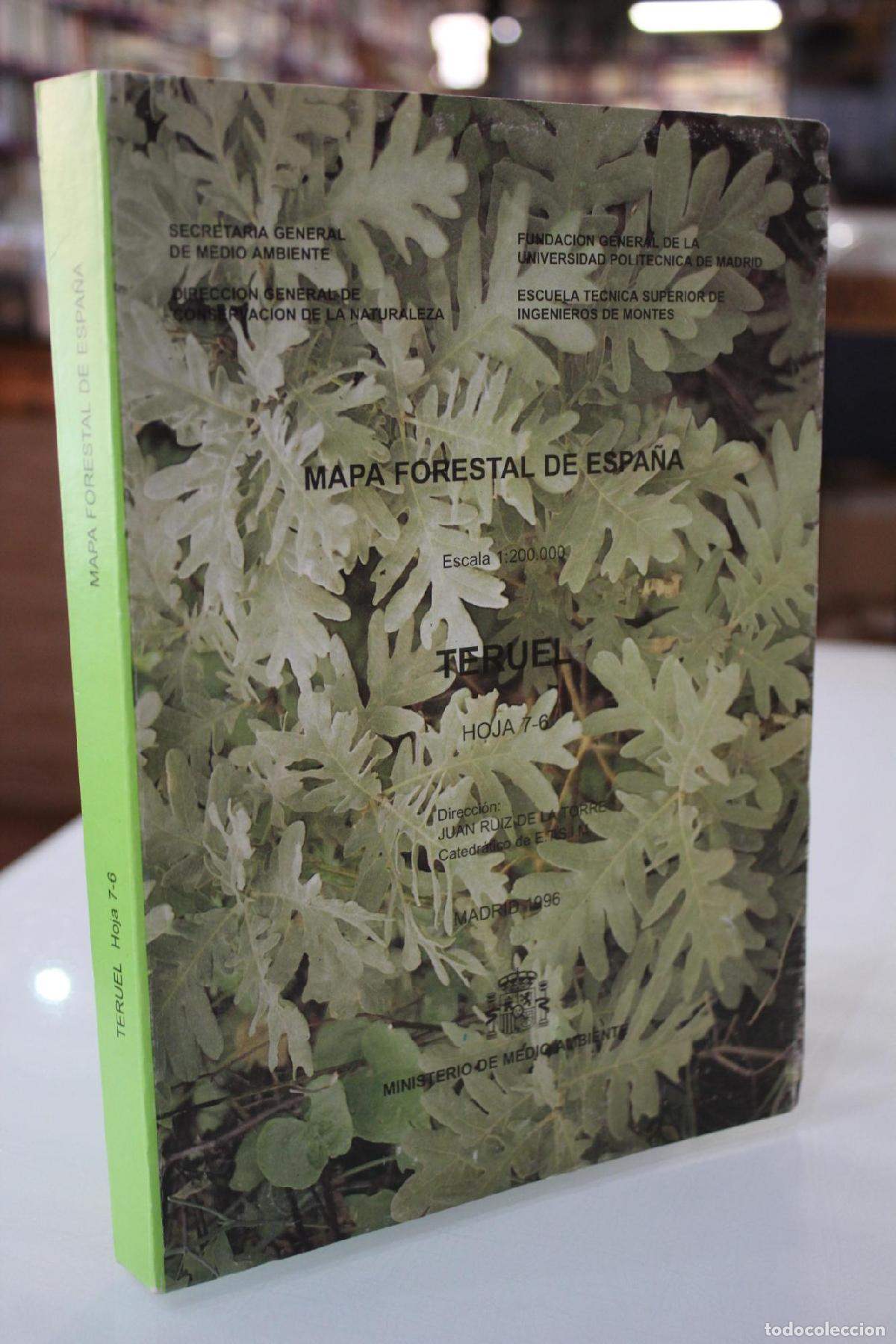 Libri di seconda mano: Mapa forestal de Espa&ntilde;a. Escala 1:200.000. Teruel. Hoja 7-6 - Juan Ruiz De La Torre
