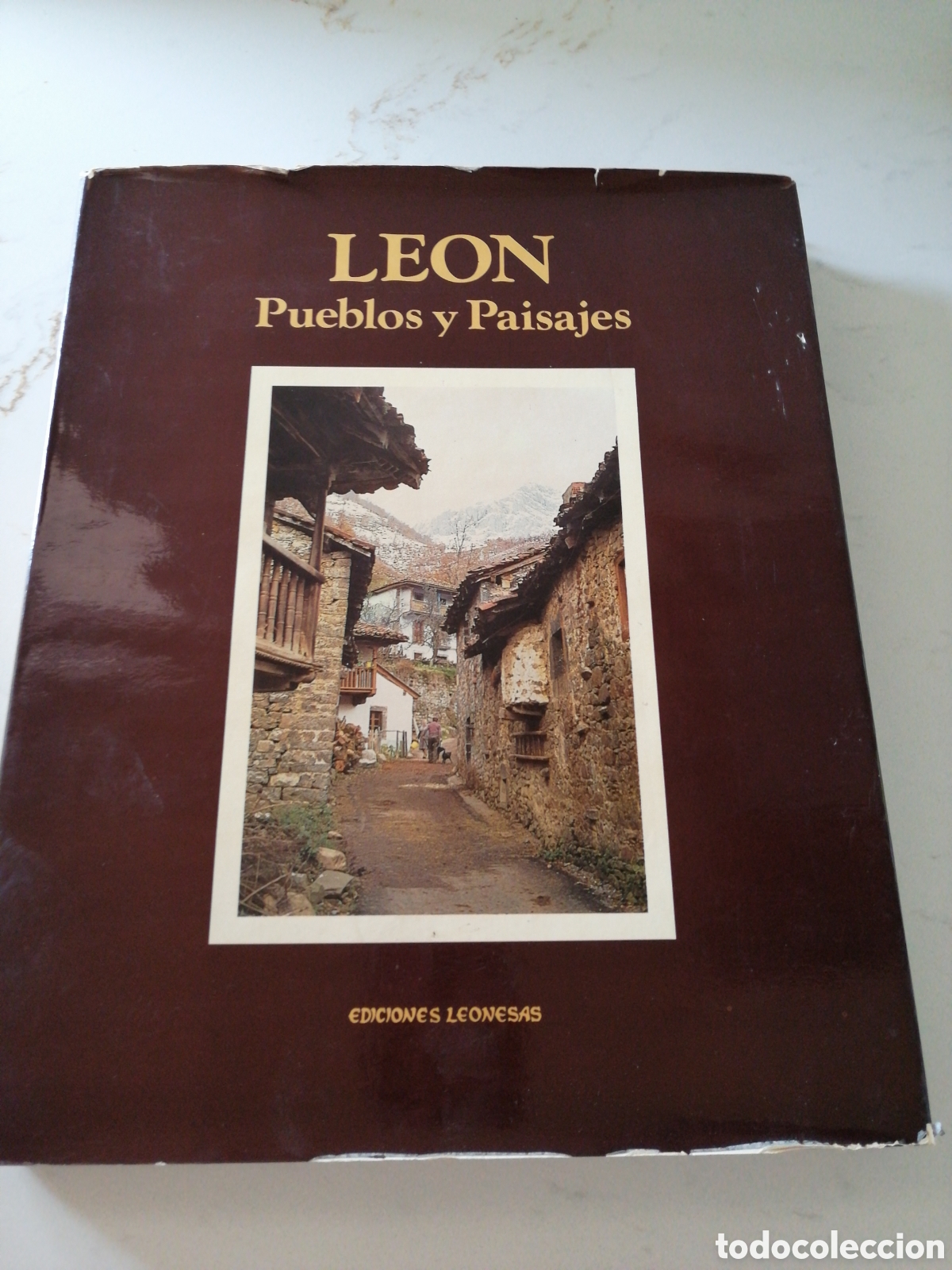 Libros de segunda mano: LE&Oacute;N PUEBLOS Y PAISAJES
