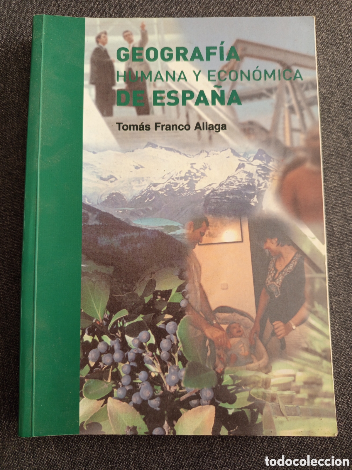 Libros de segunda mano: GEOGRAFIA HUMANA Y ECONOMICA DE ESPA&Ntilde;A (TOMAS FRANCO ALIAGA)