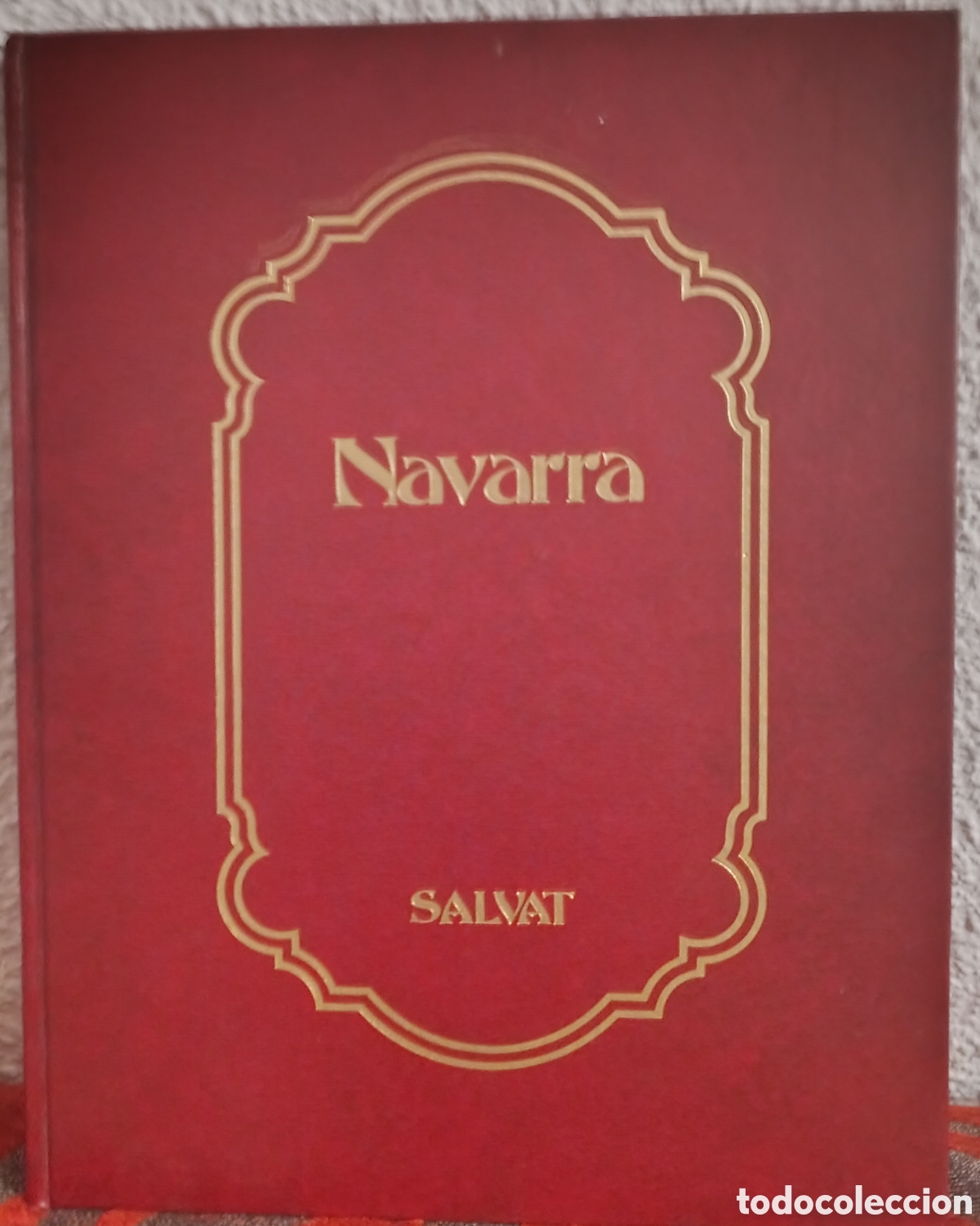Libros de segunda mano: Navarra, publicado por la editorial Salvat