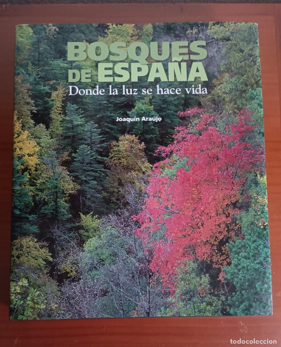 Libros de segunda mano: L109 BOSQUES DE ESPA&Ntilde;A (DONDE LA LUZ SE HACE VIDA)-JOAQUIN ARAUJO